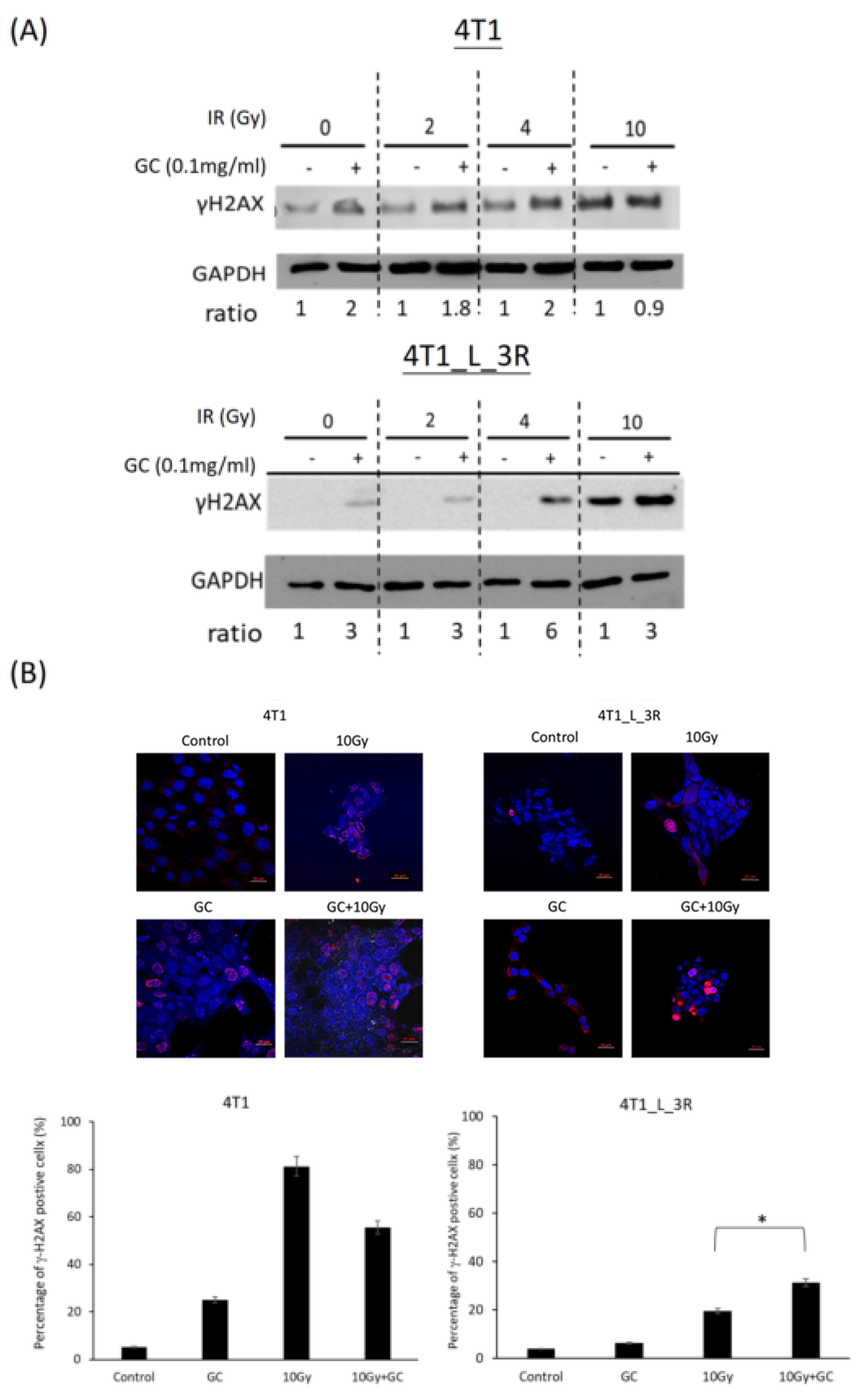 Ijms 20 05581 g005