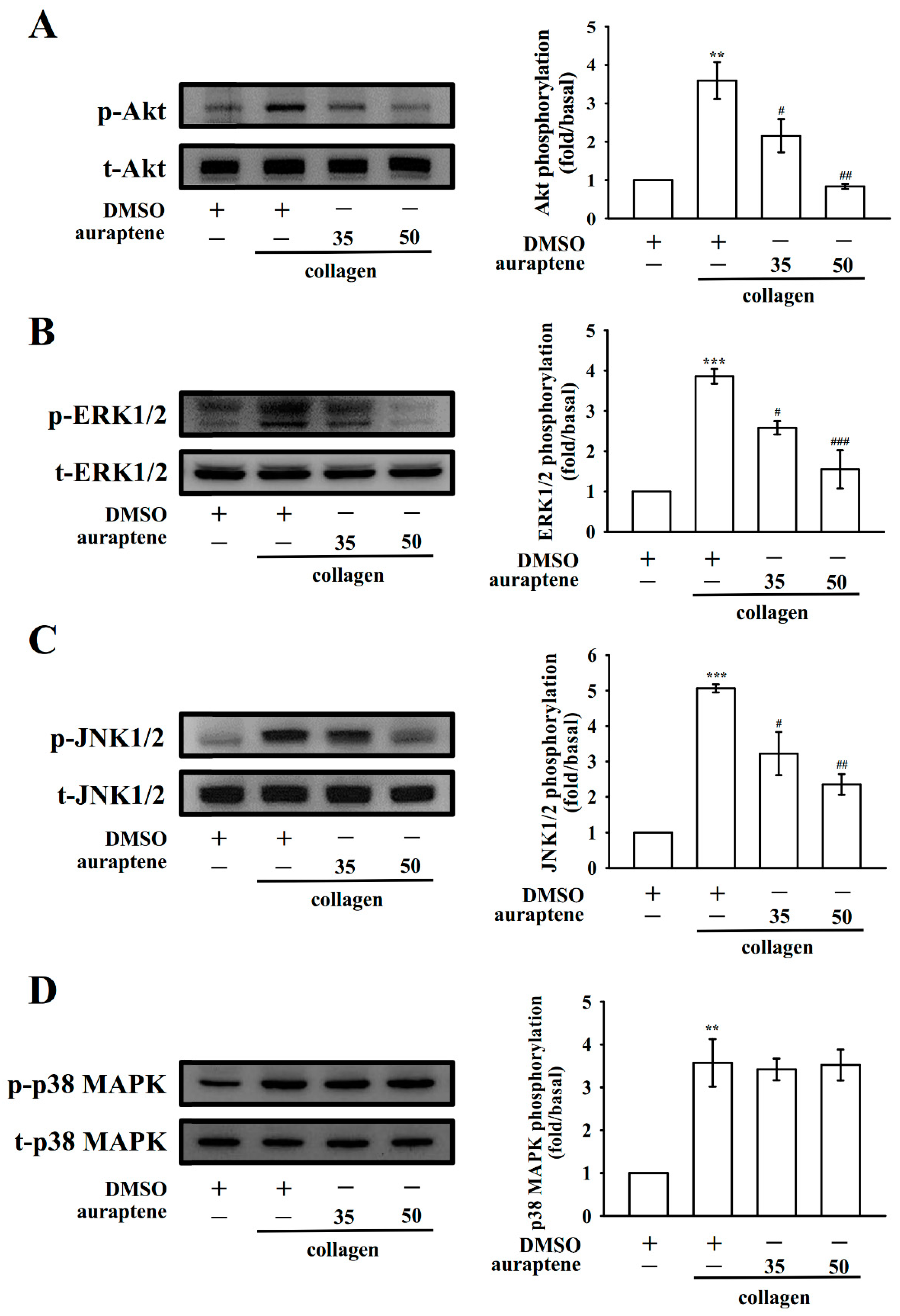 Ijms 20 05585 g005