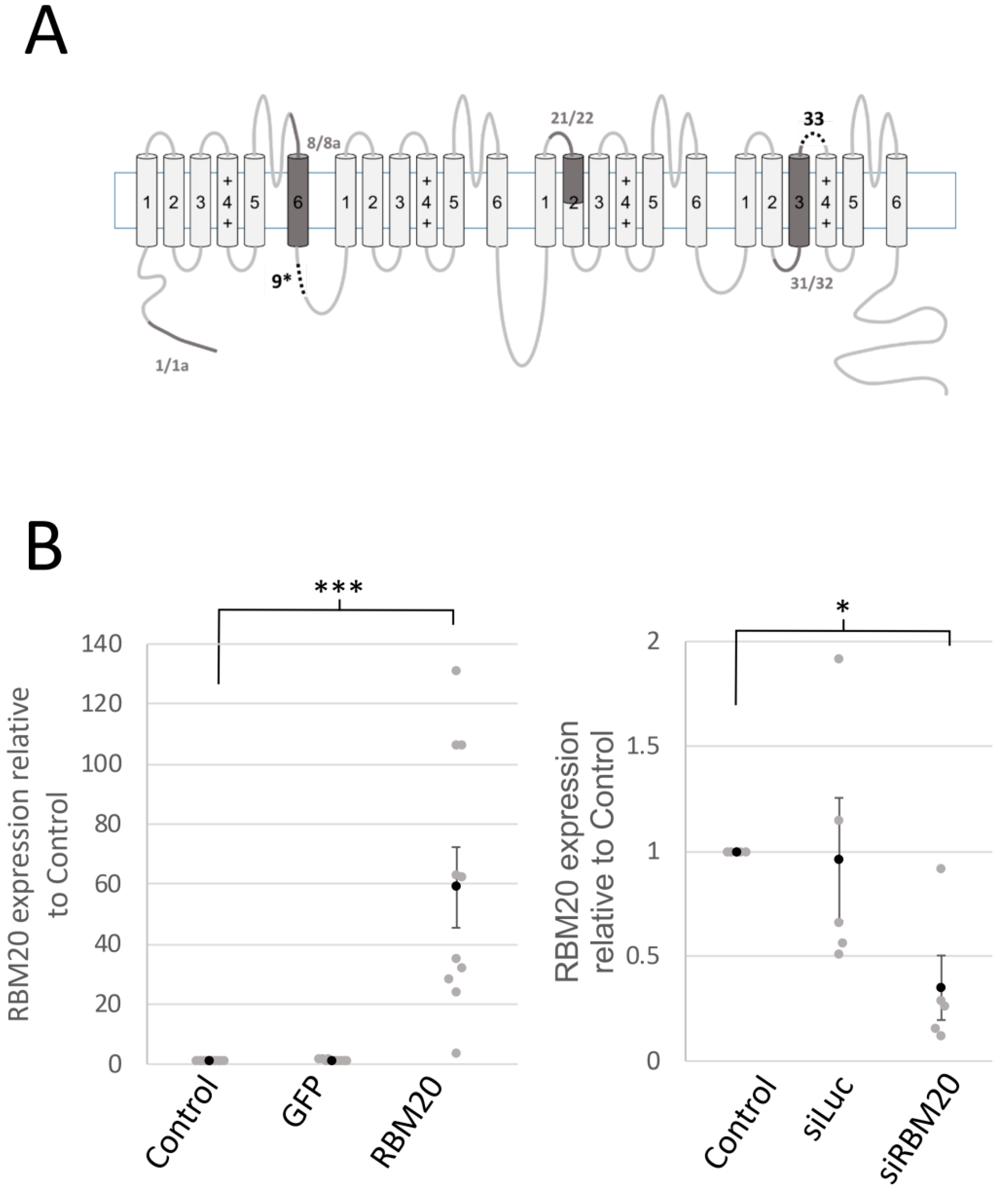 Ijms 20 05591 g001 Ijms 20 05591 g001
