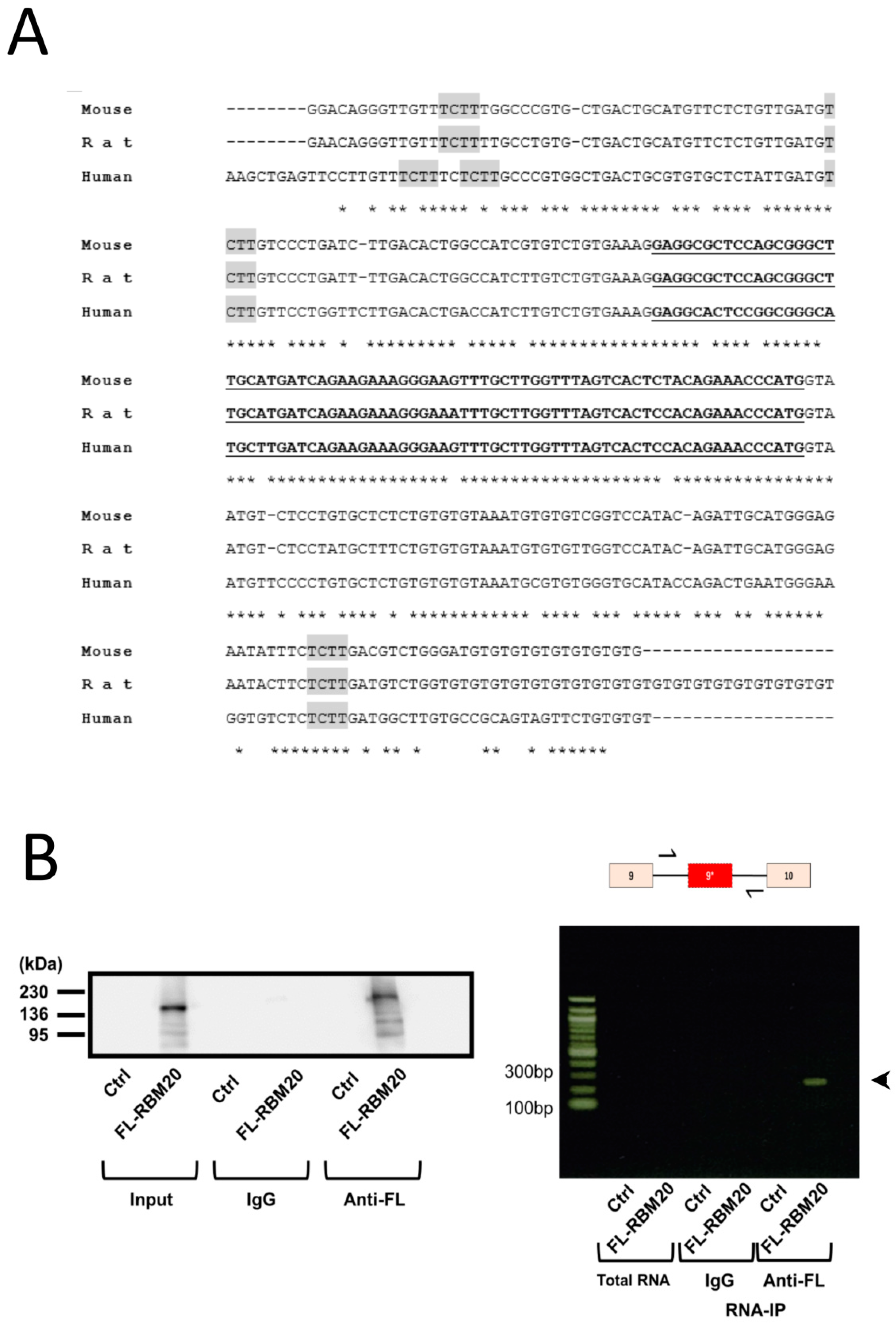 Ijms 20 05591 g003 Ijms 20 05591 g003