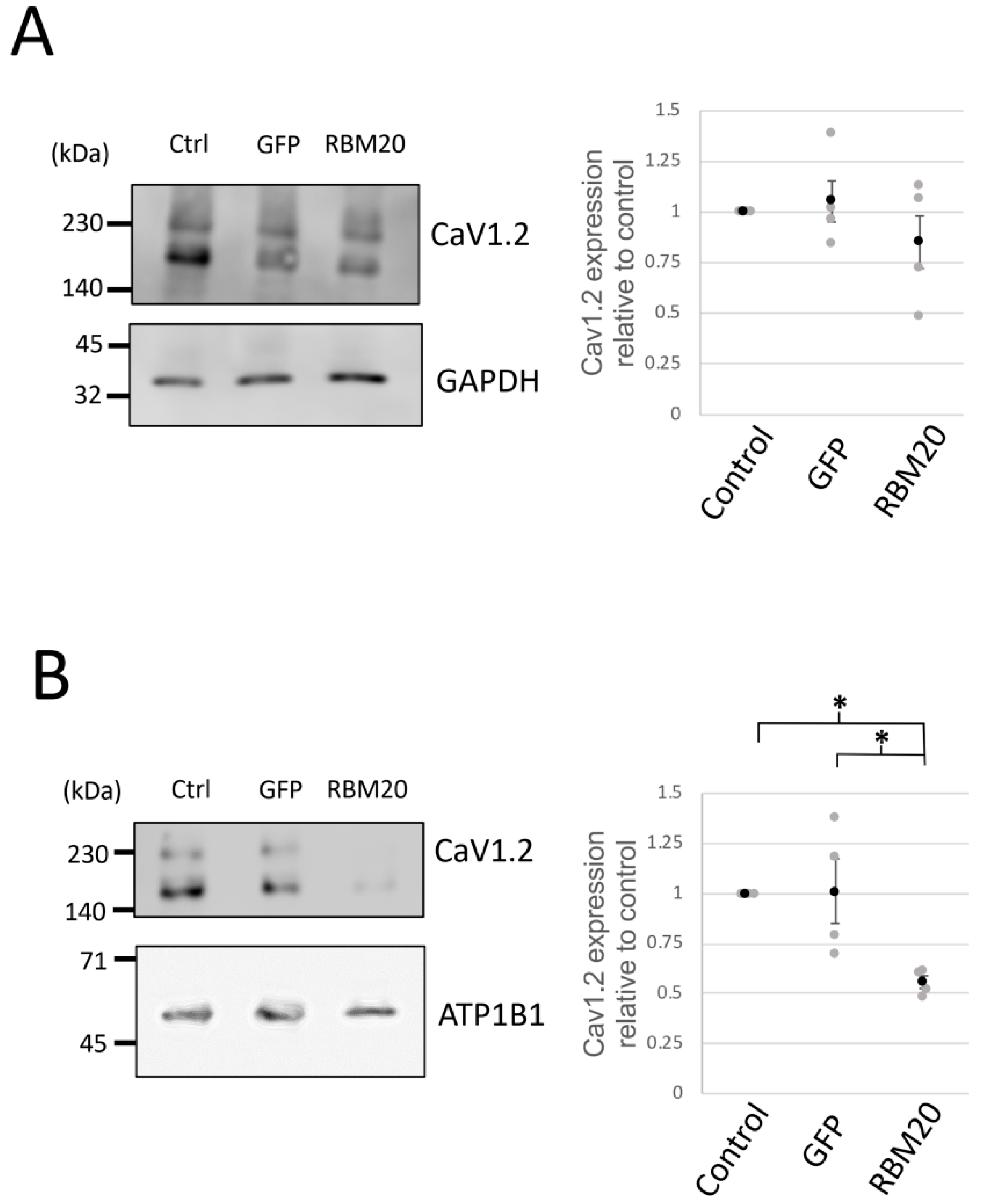 Ijms 20 05591 g005 Ijms 20 05591 g005