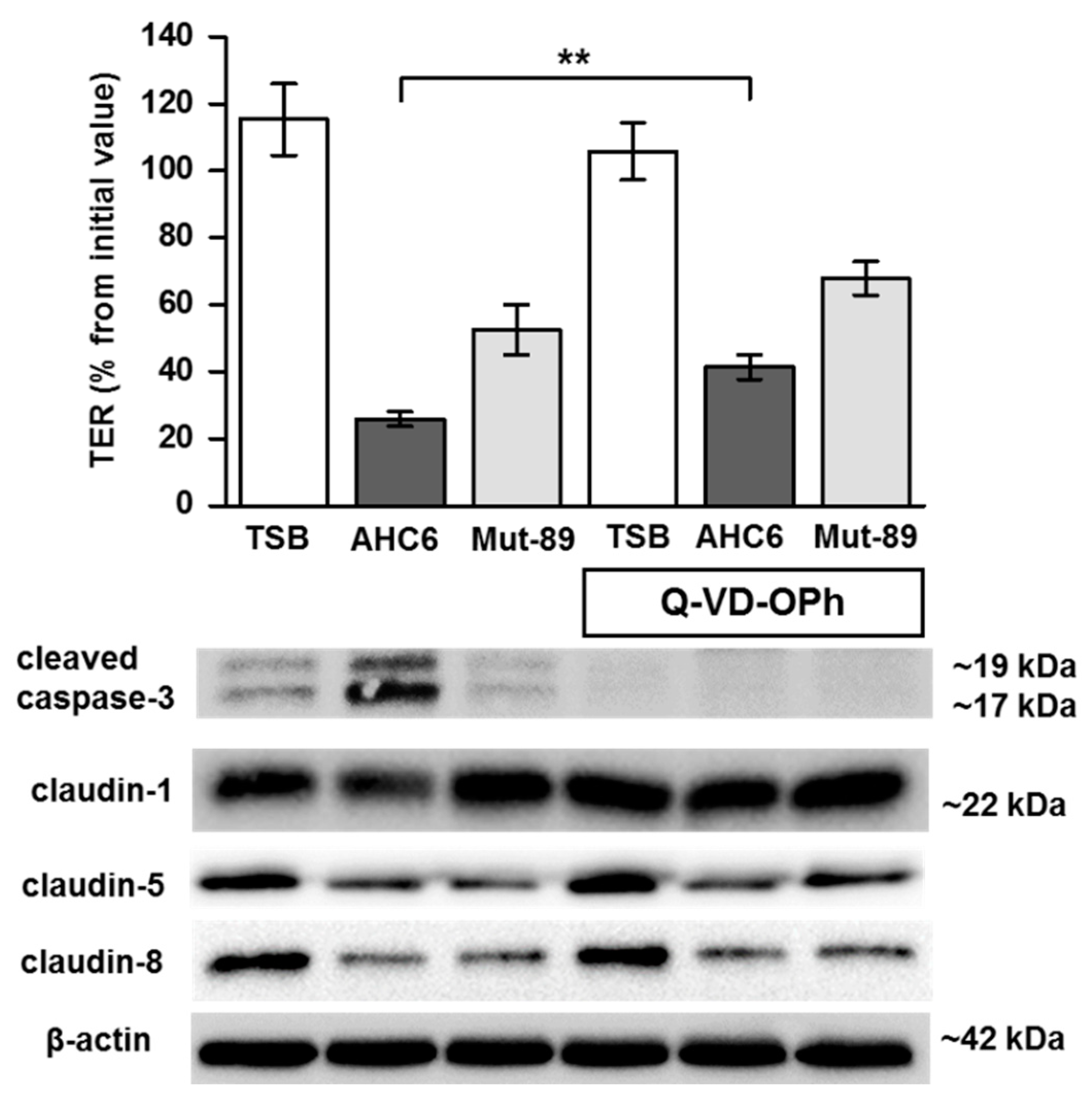 Ijms 20 05595 g002