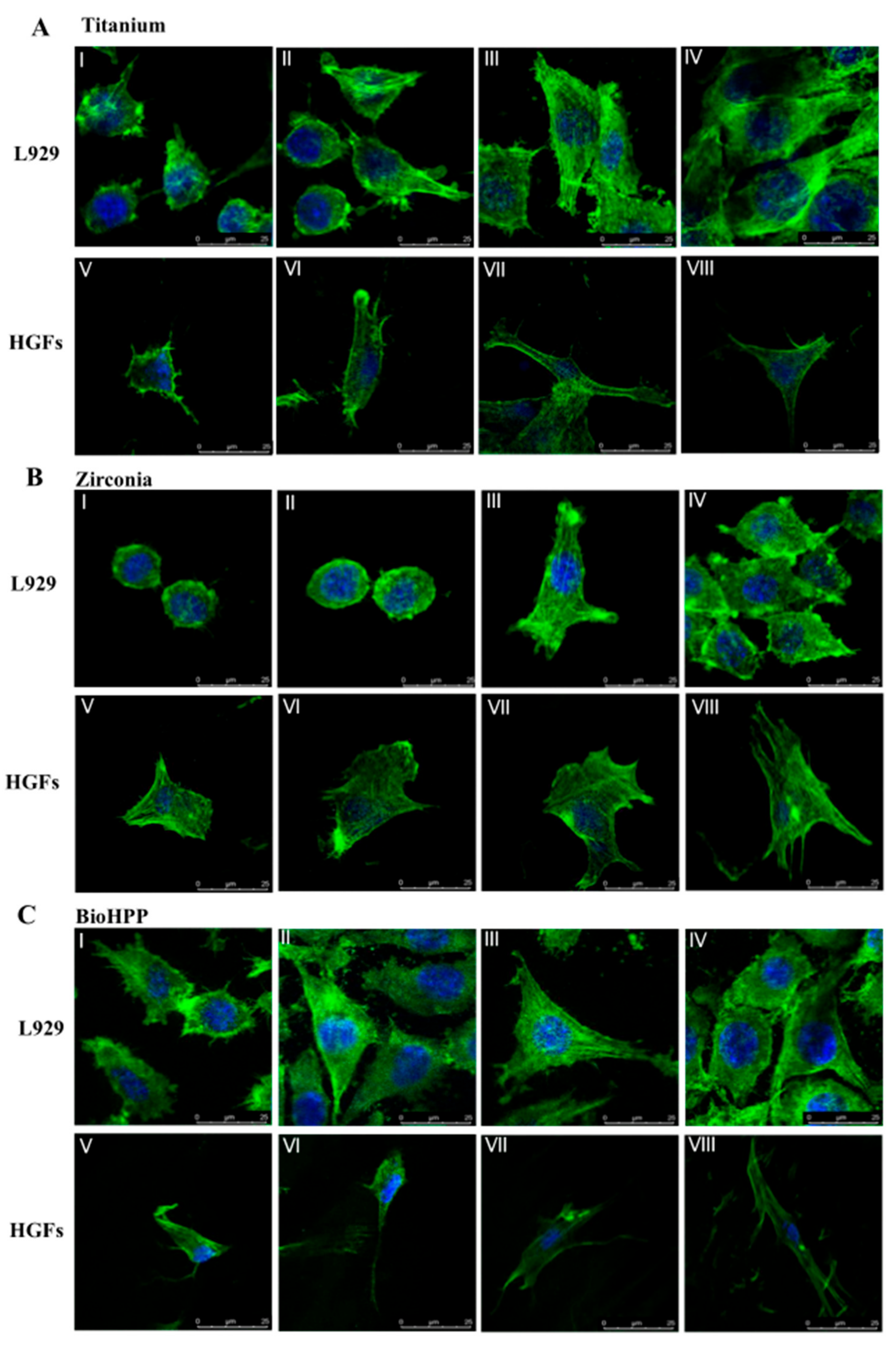 Ijms 20 05596 g001