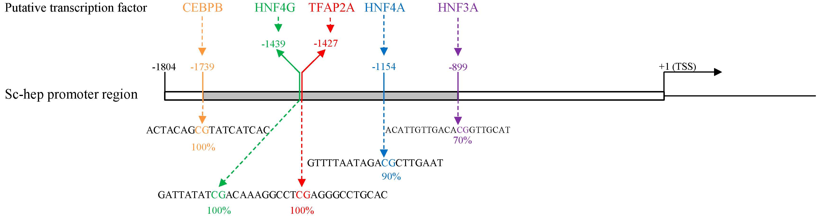 Ijms 20 05602 g006
