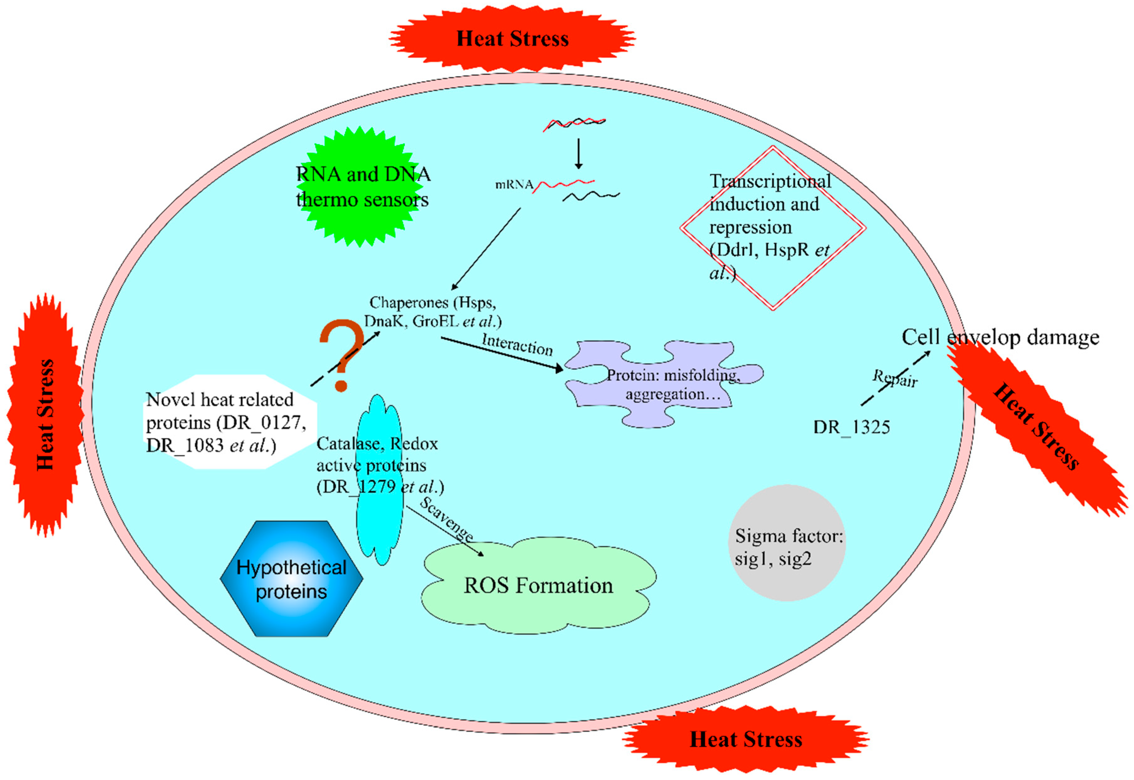 Ijms 20 05603 g006