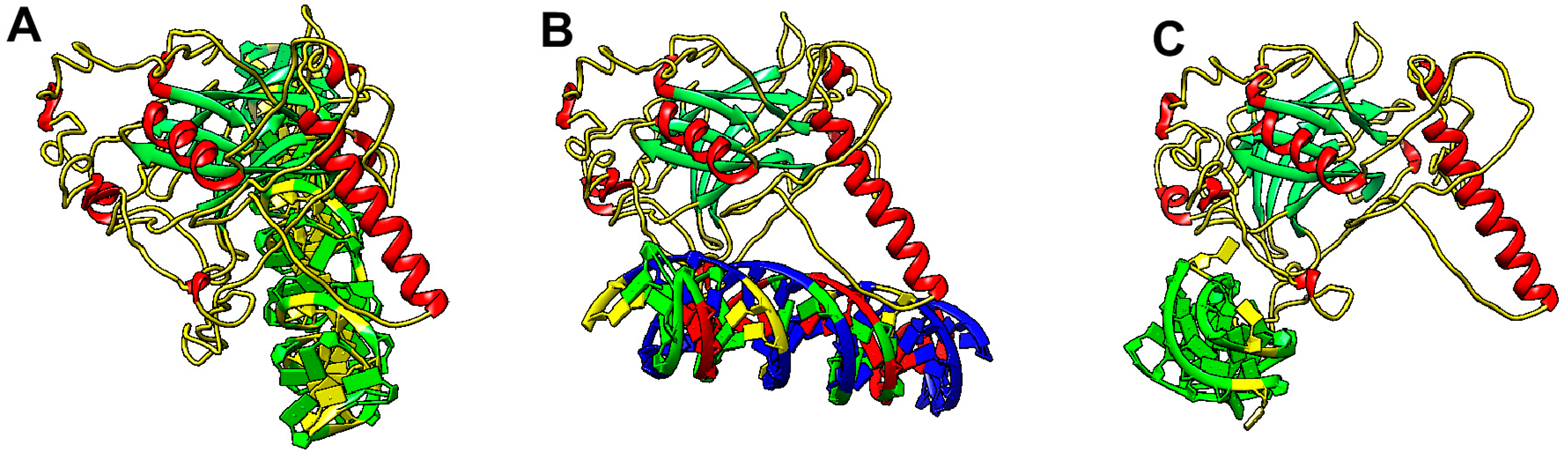 Ijms 20 05605 g002