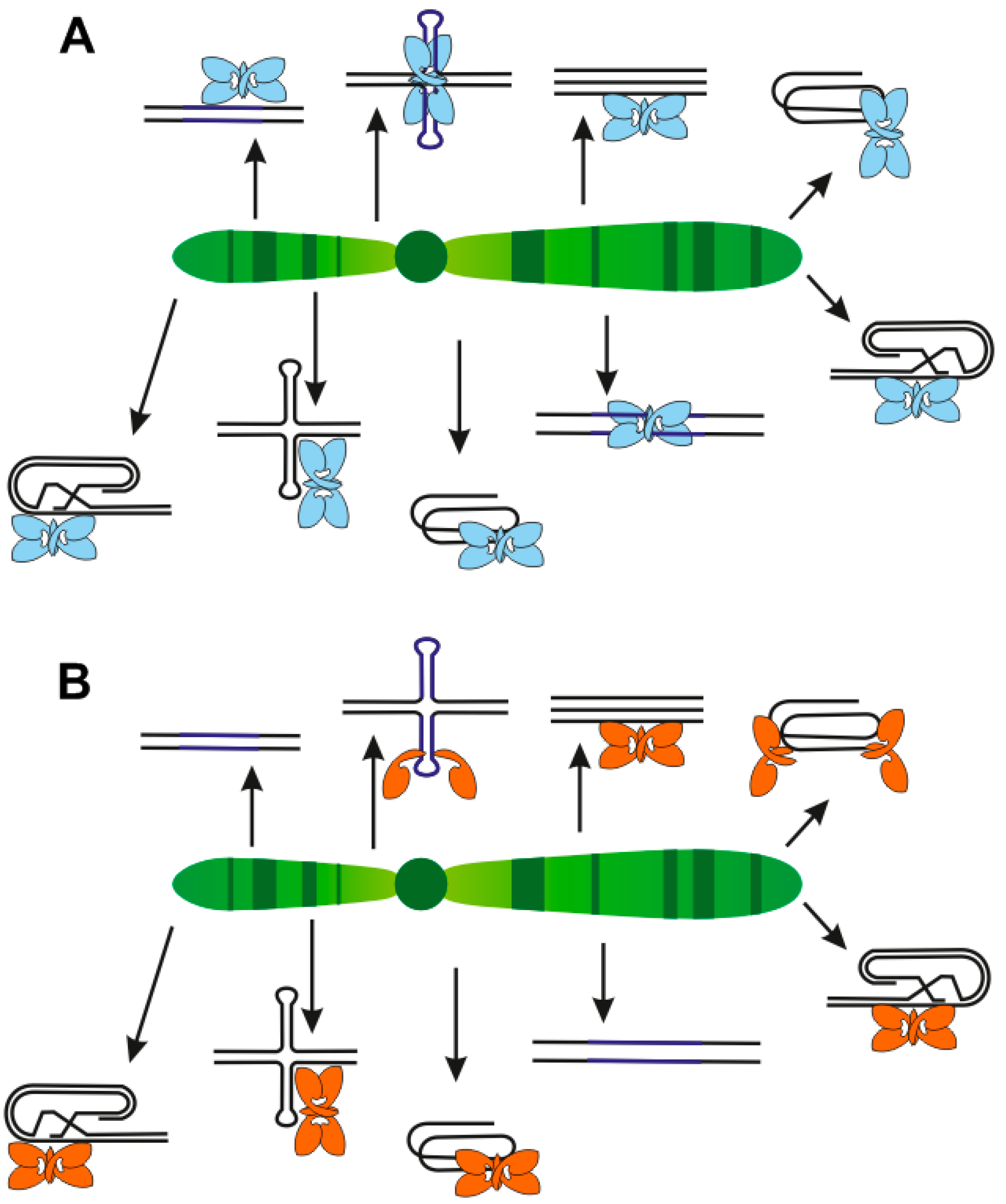Ijms 20 05605 g006