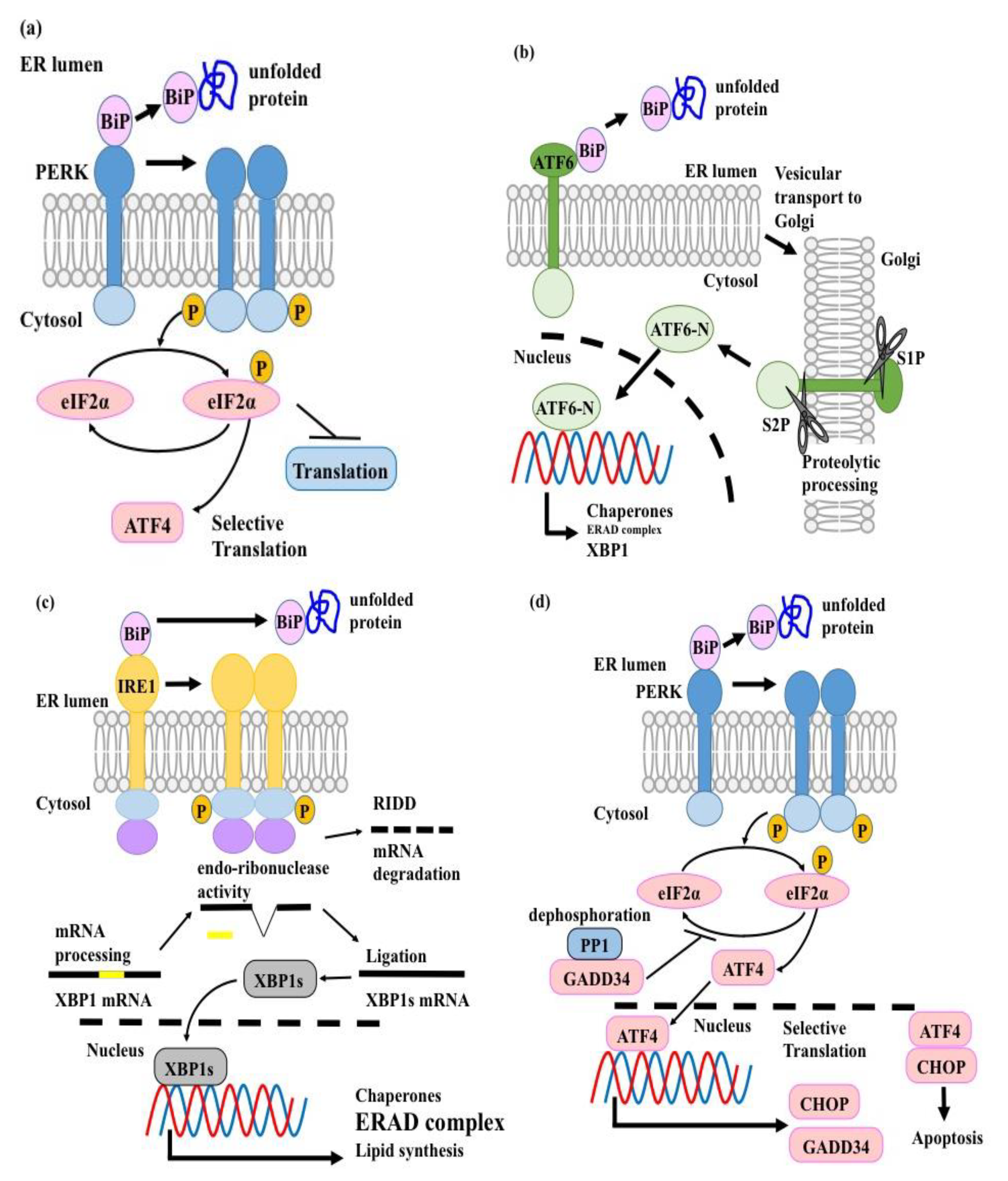 Ijms 20 05606 g001