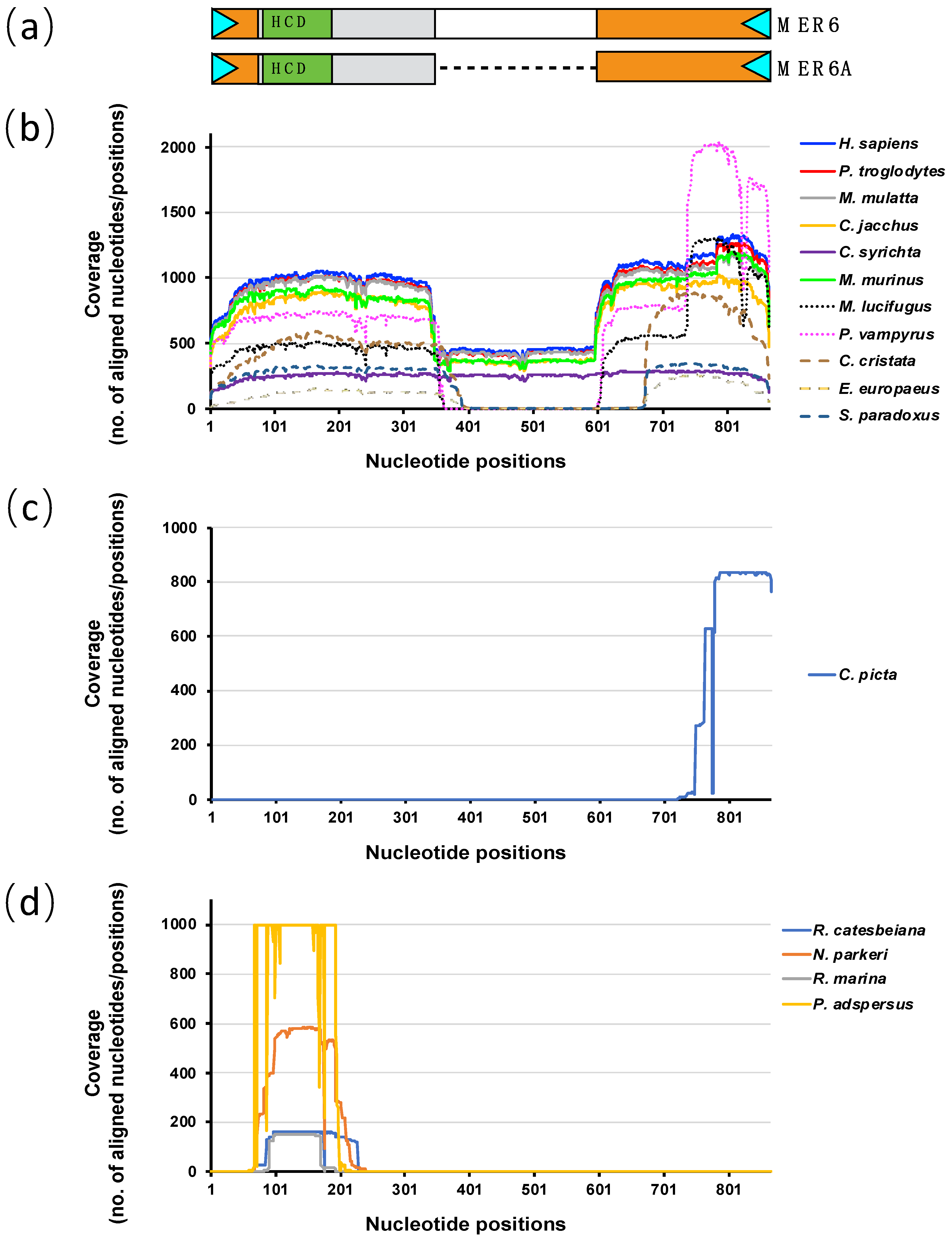 Ijms 20 05607 g001