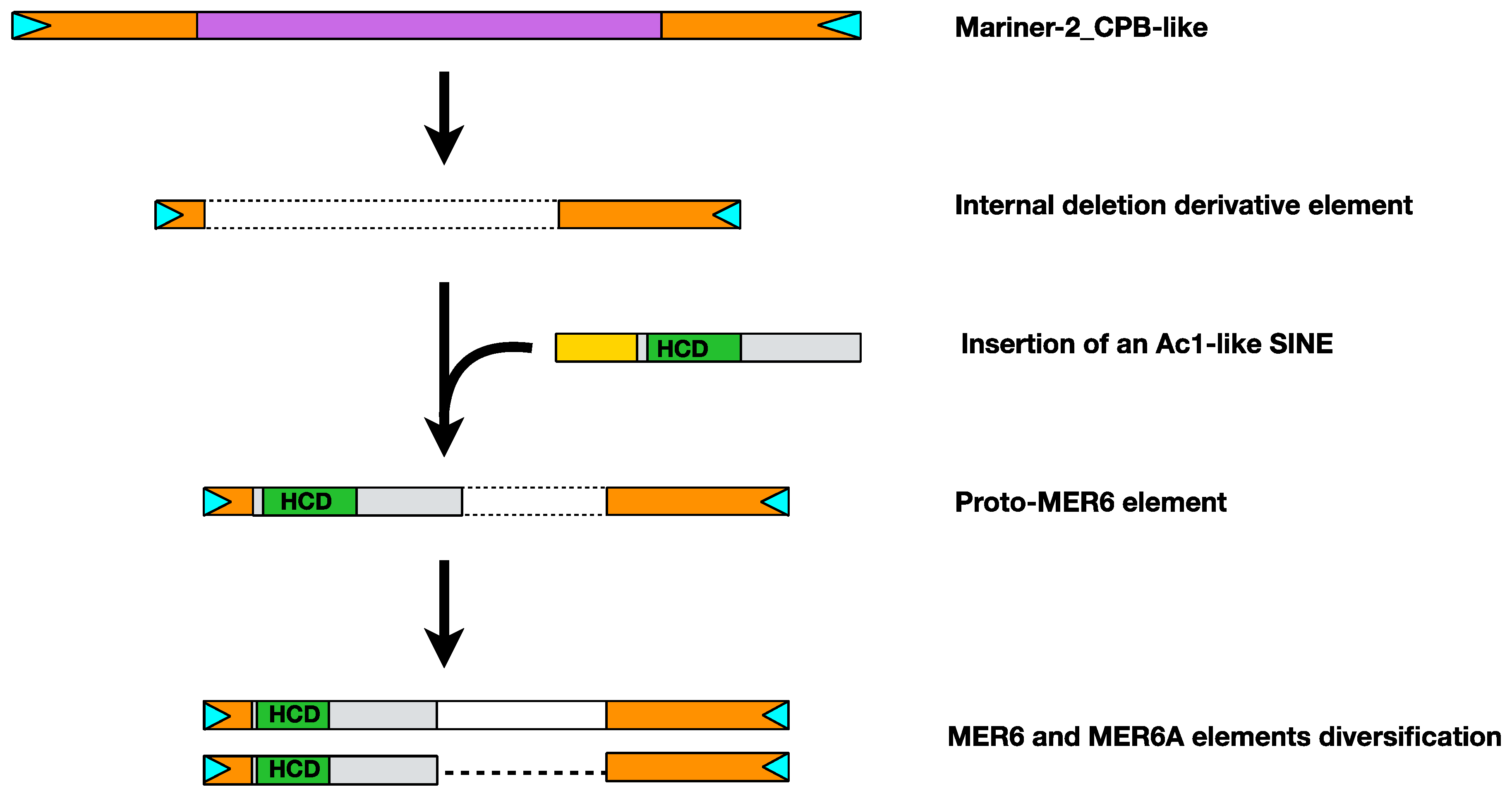 Ijms 20 05607 g006