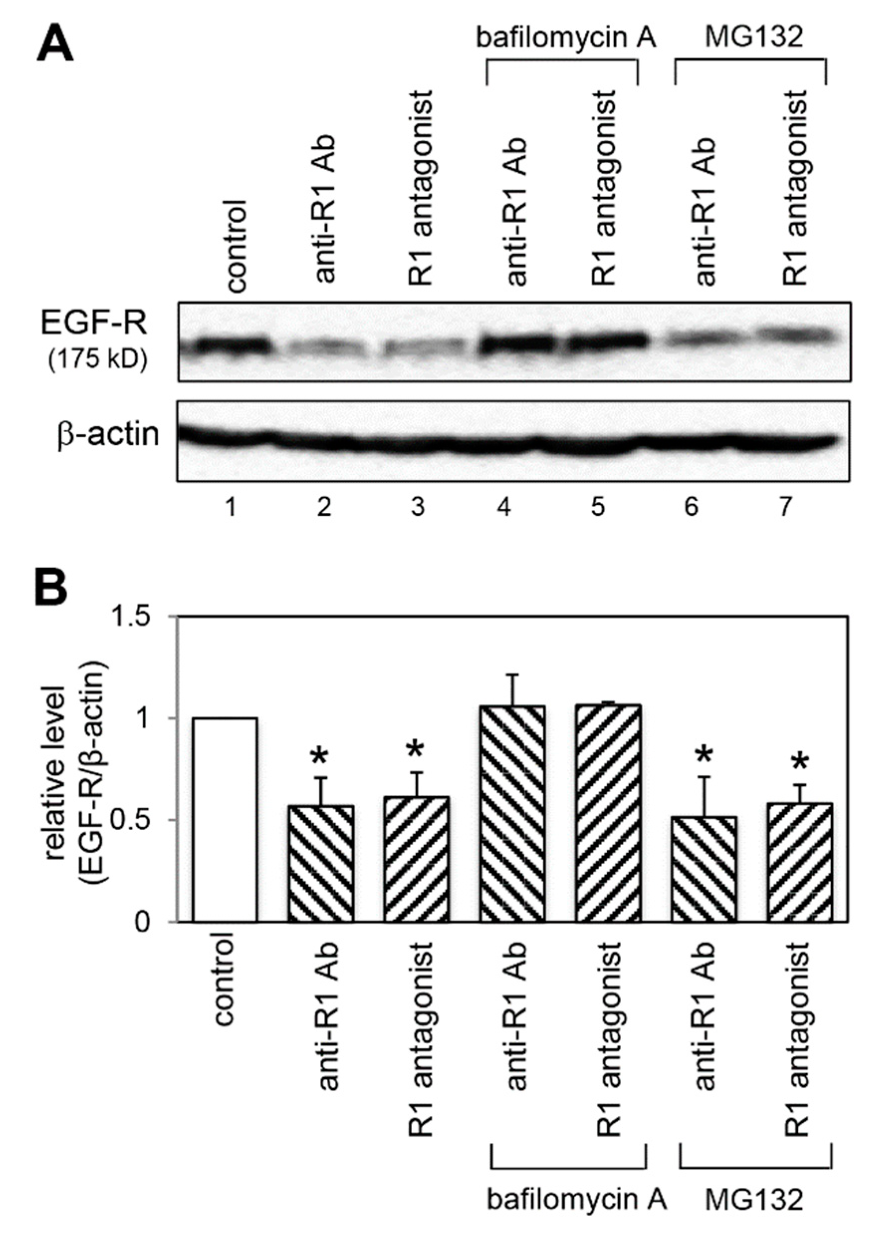 Ijms 20 05608 g008