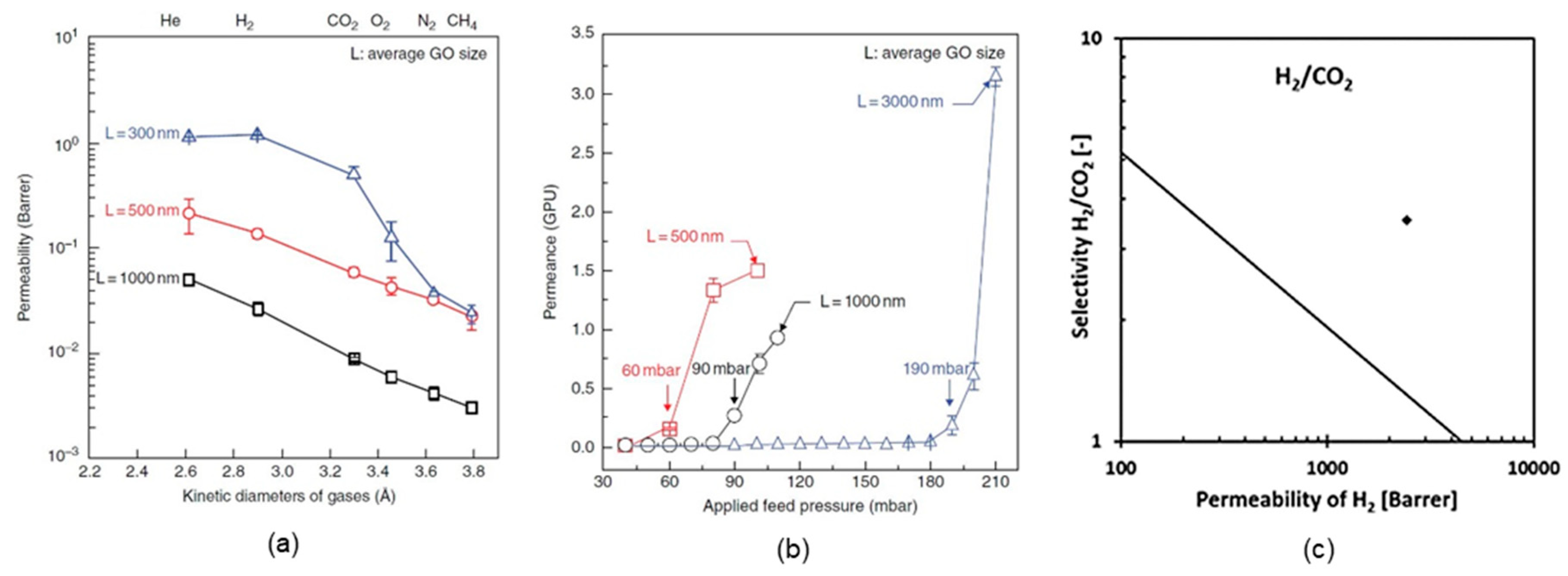 Ijms 20 05609 g005