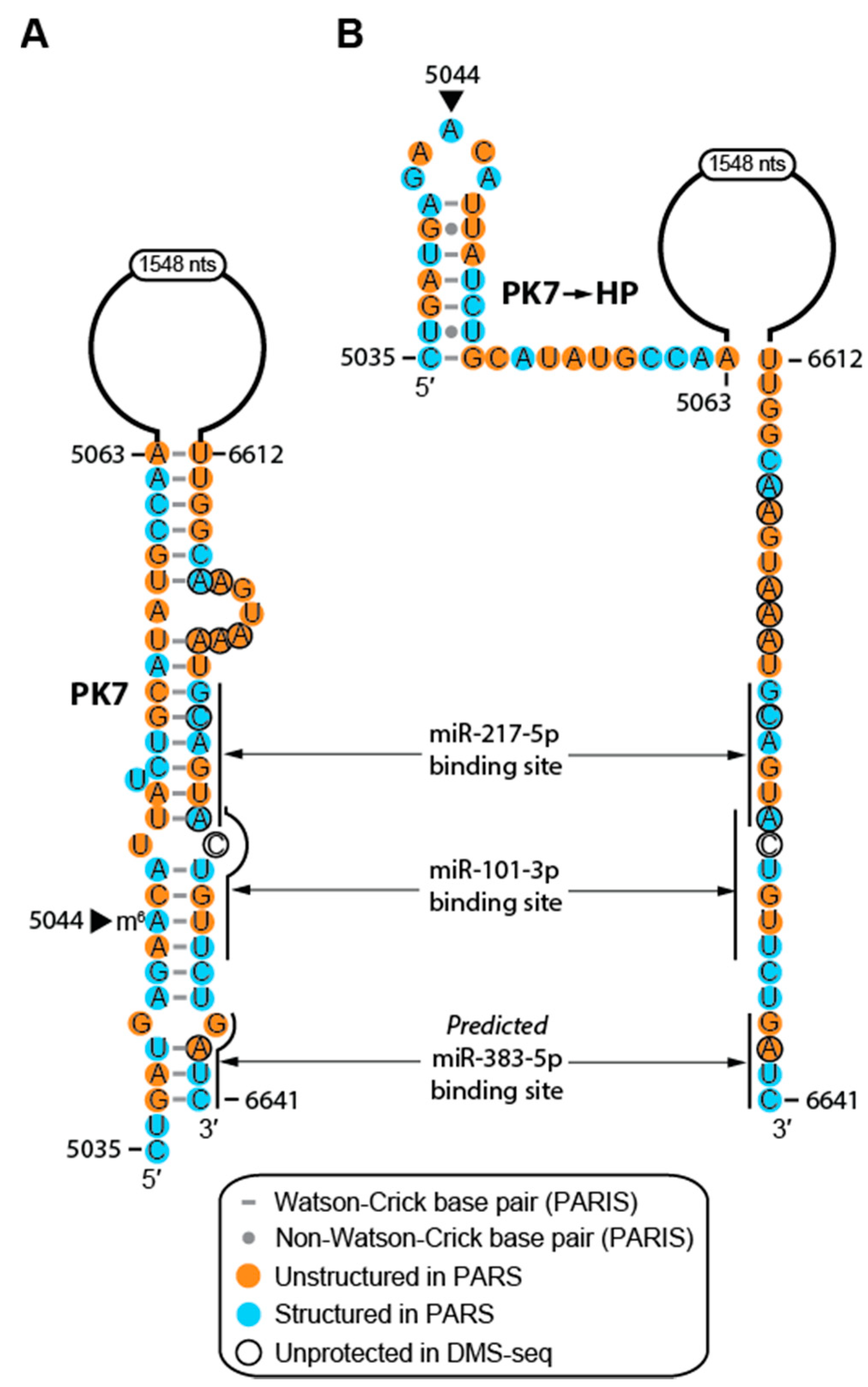 Ijms 20 05610 g005