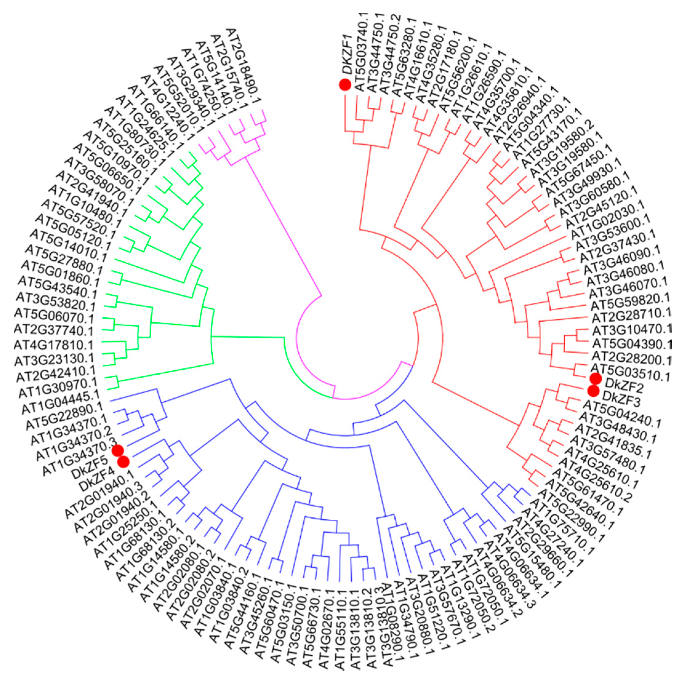 Ijms 20 05611 g001