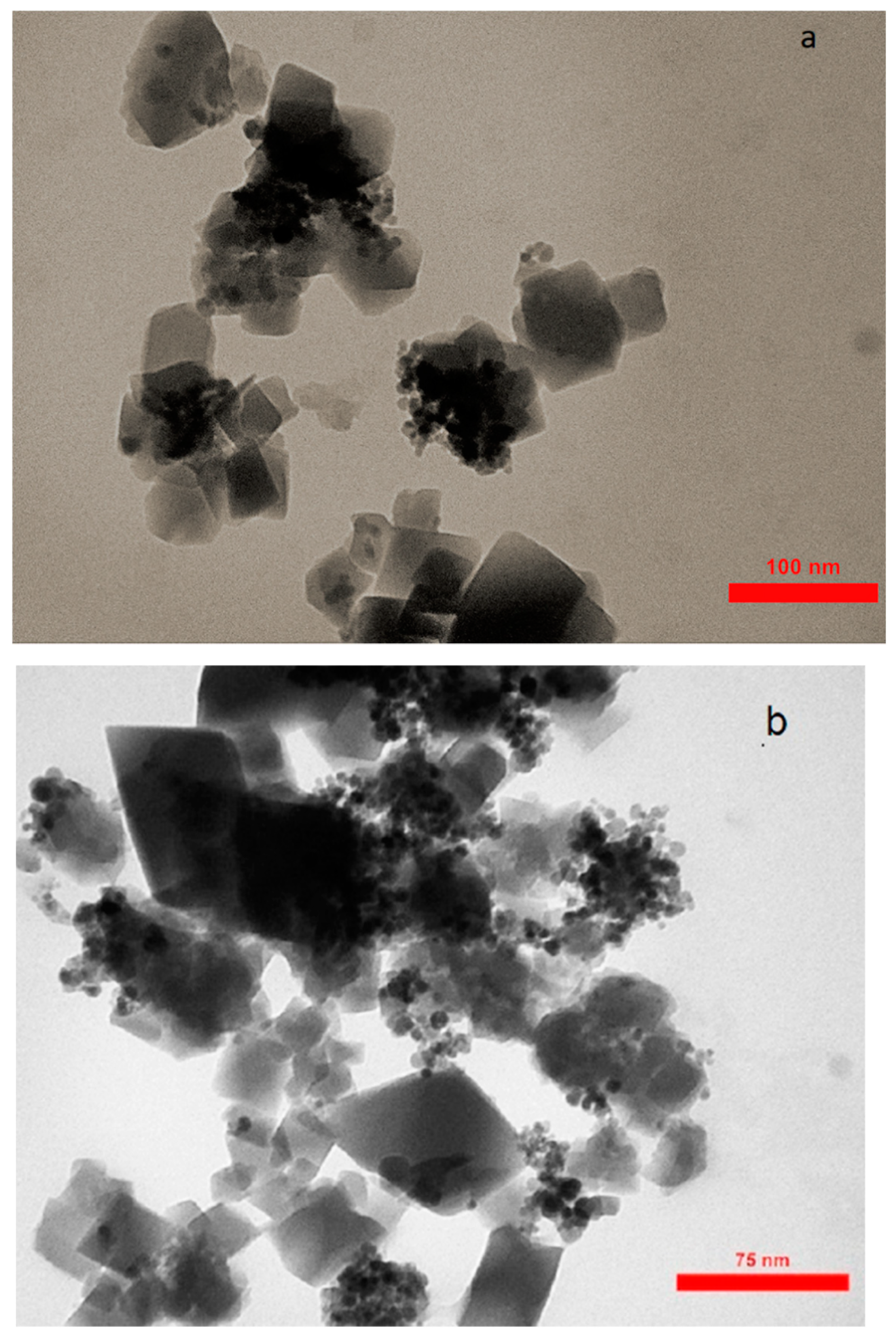 Ijms 20 05612 g004a