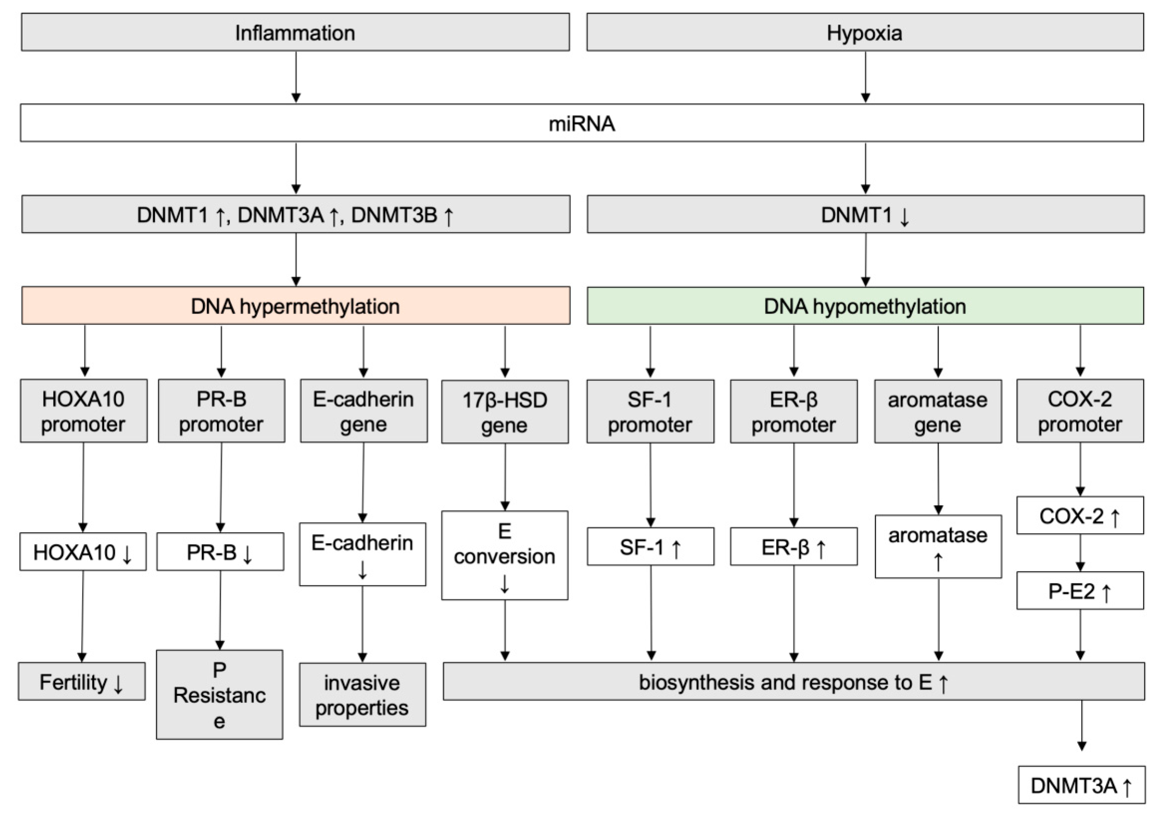 Ijms 20 05615 g003