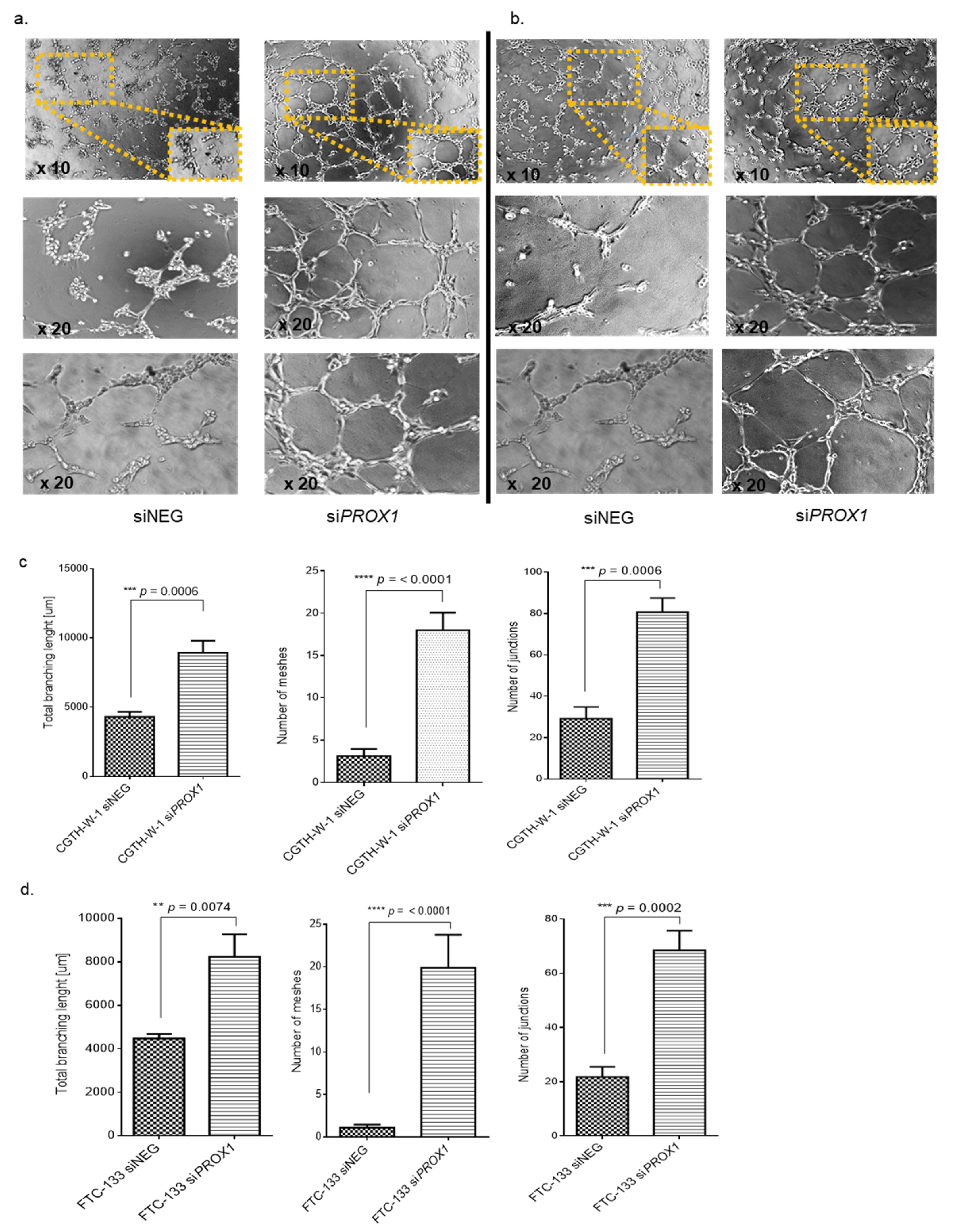 Ijms 20 05619 g002 Ijms 20 05619 g002