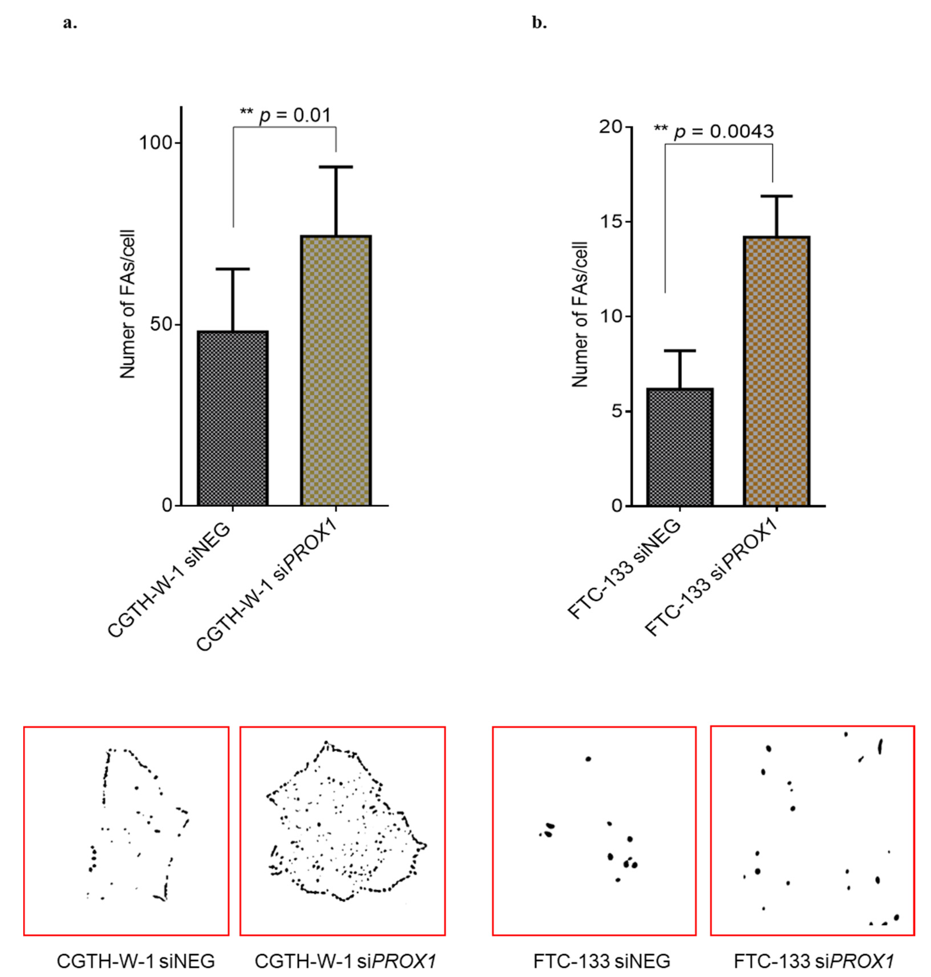 Ijms 20 05619 g003 Ijms 20 05619 g003