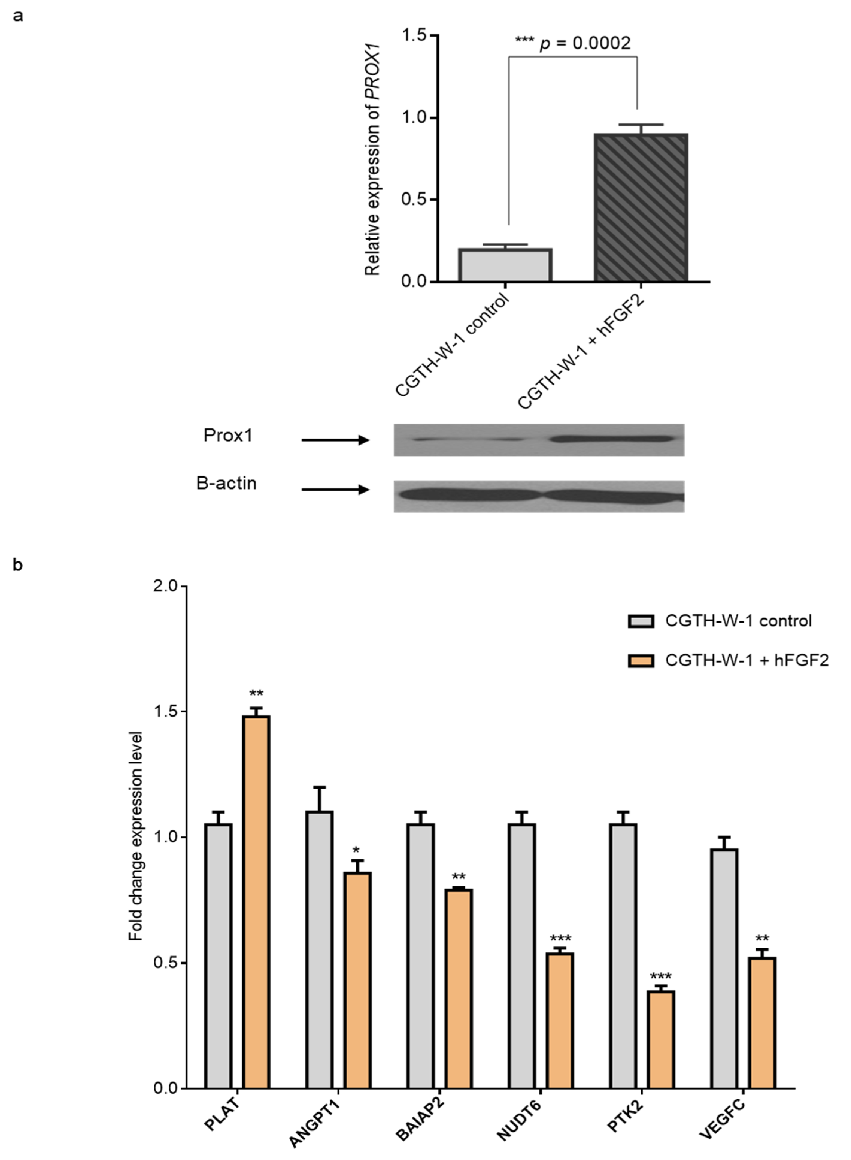 Ijms 20 05619 g005 Ijms 20 05619 g005