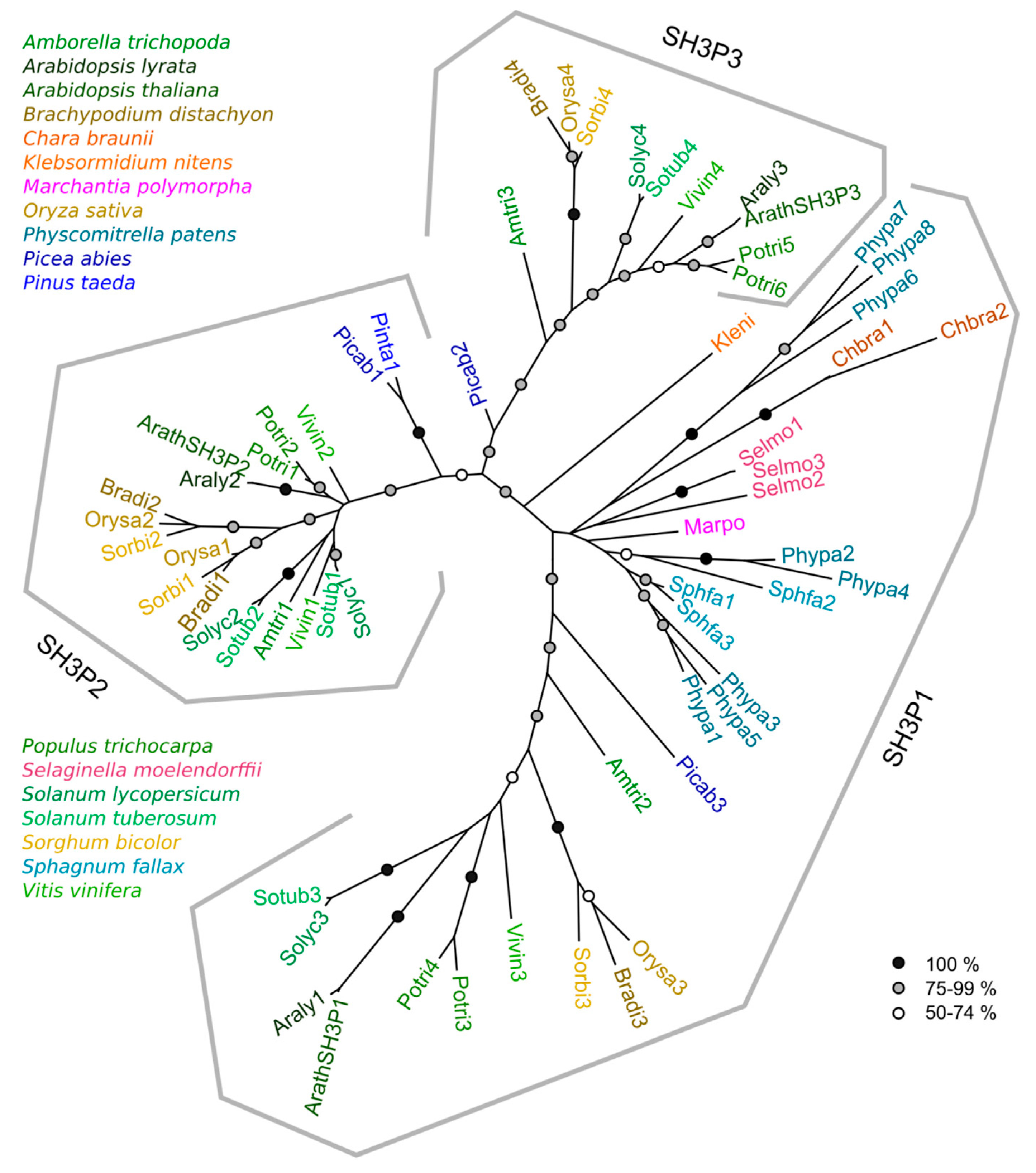 Ijms 20 05623 g001 Ijms 20 05623 g001