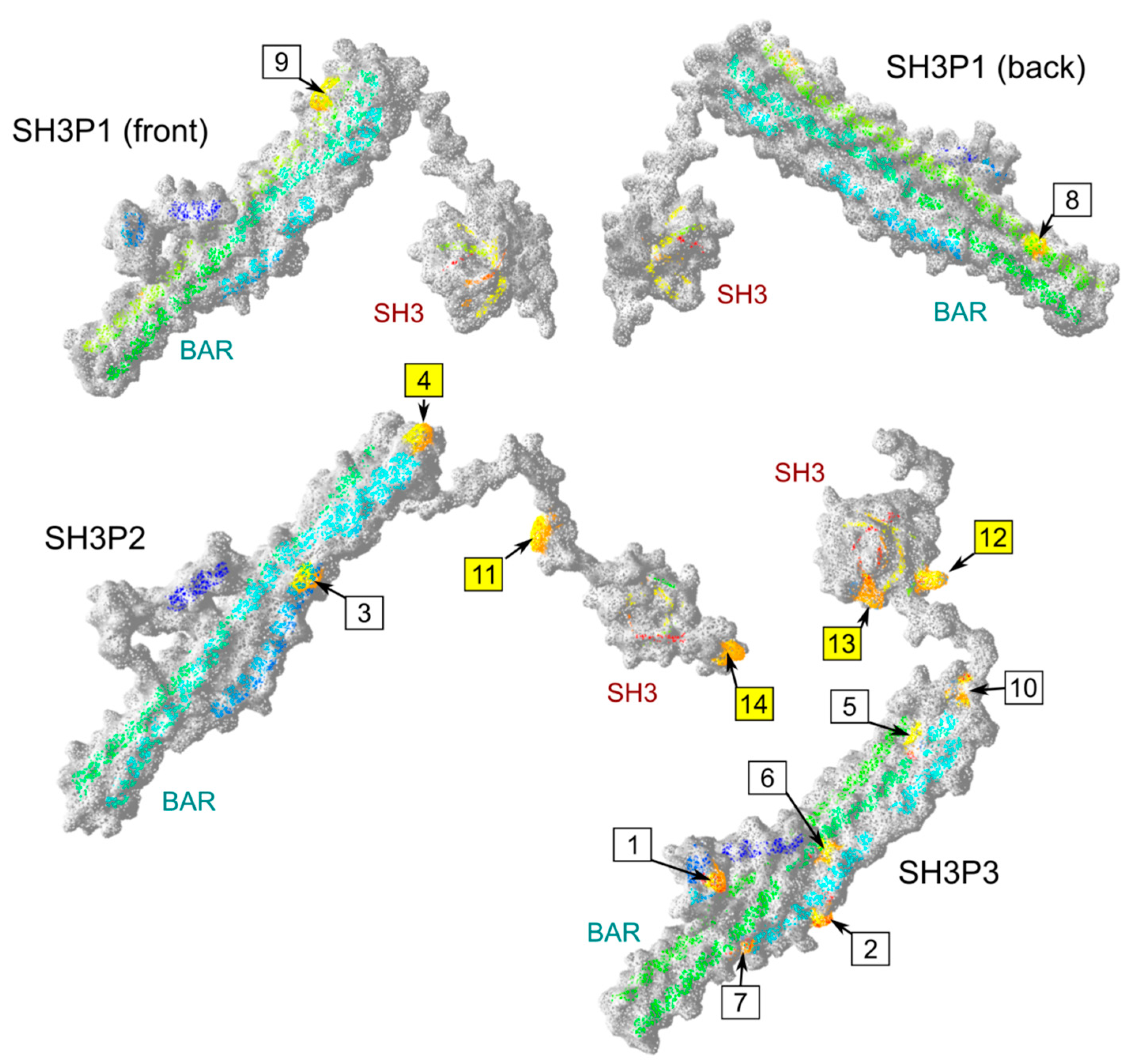Ijms 20 05623 g005 Ijms 20 05623 g005