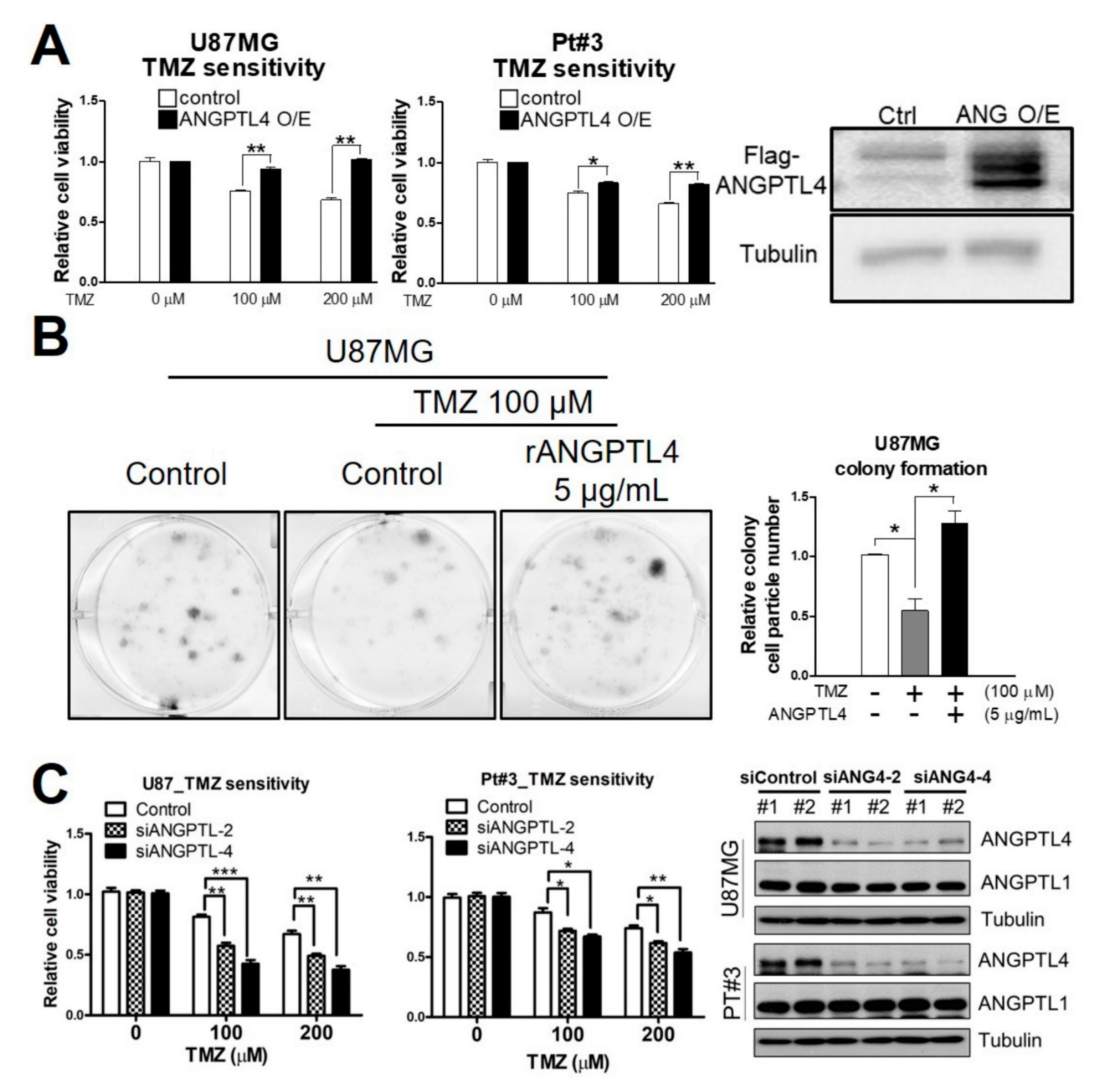 Ijms 20 05625 g001 Ijms 20 05625 g001