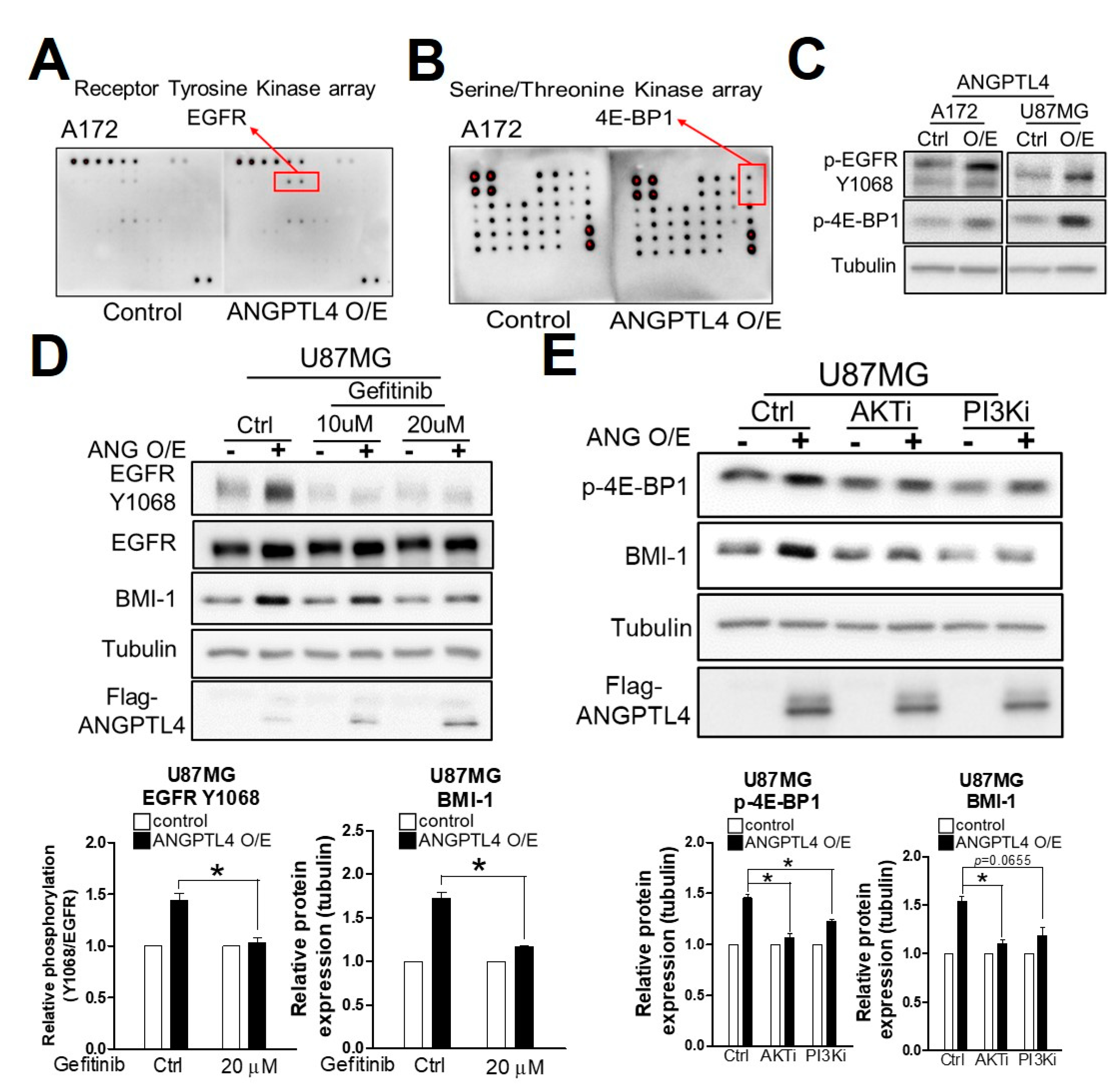 Ijms 20 05625 g003 Ijms 20 05625 g003