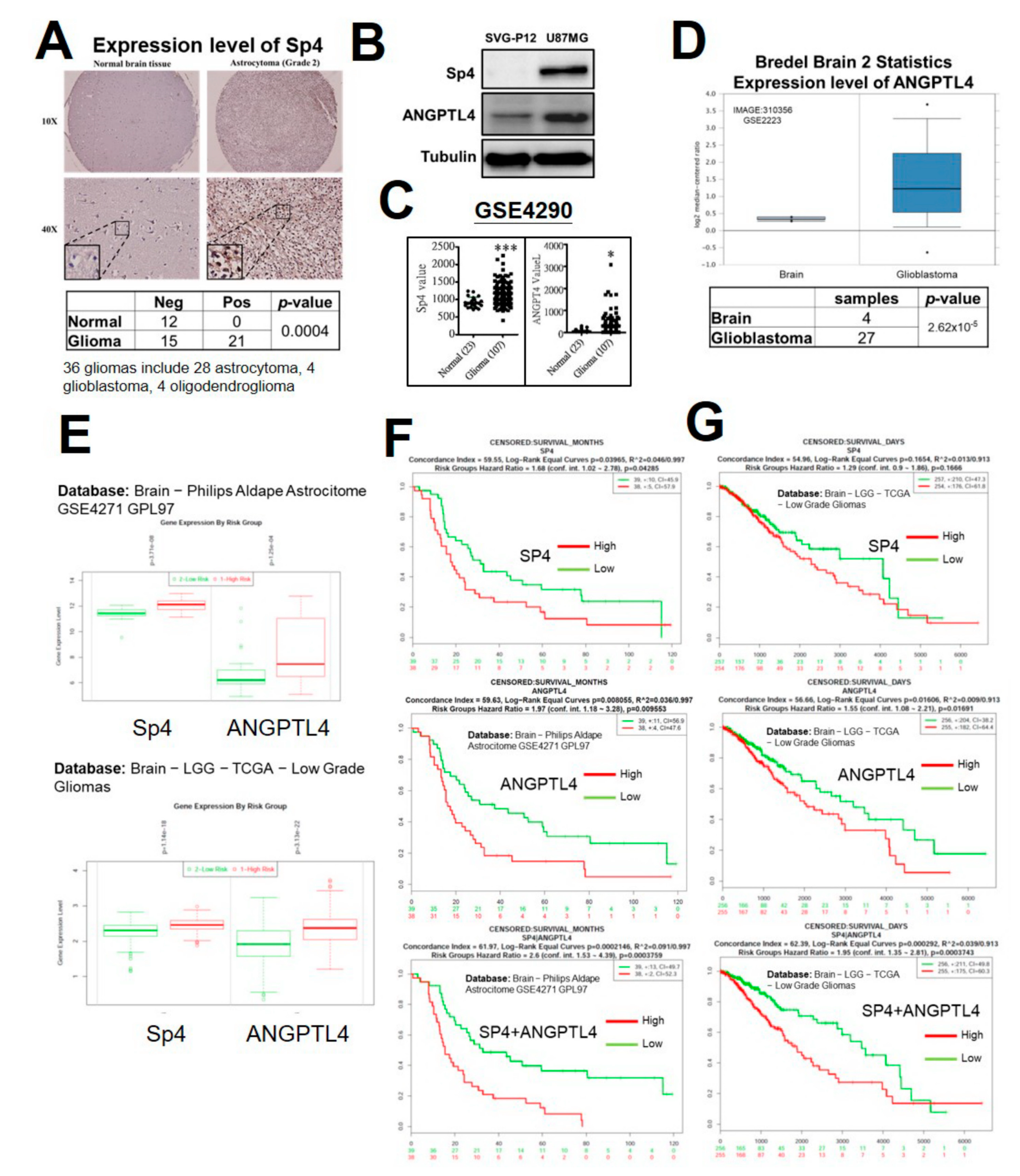 Ijms 20 05625 g005 Ijms 20 05625 g005