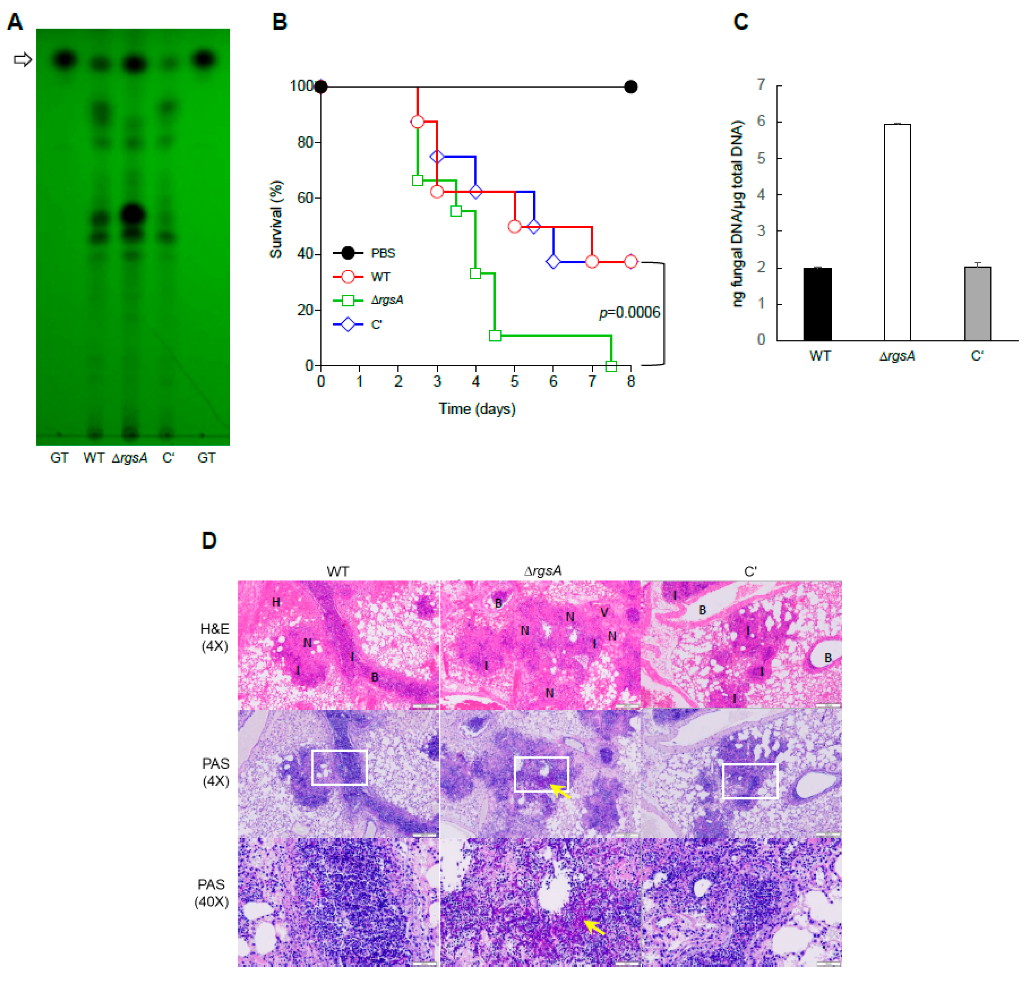 Ijms 20 05628 g005 Ijms 20 05628 g005