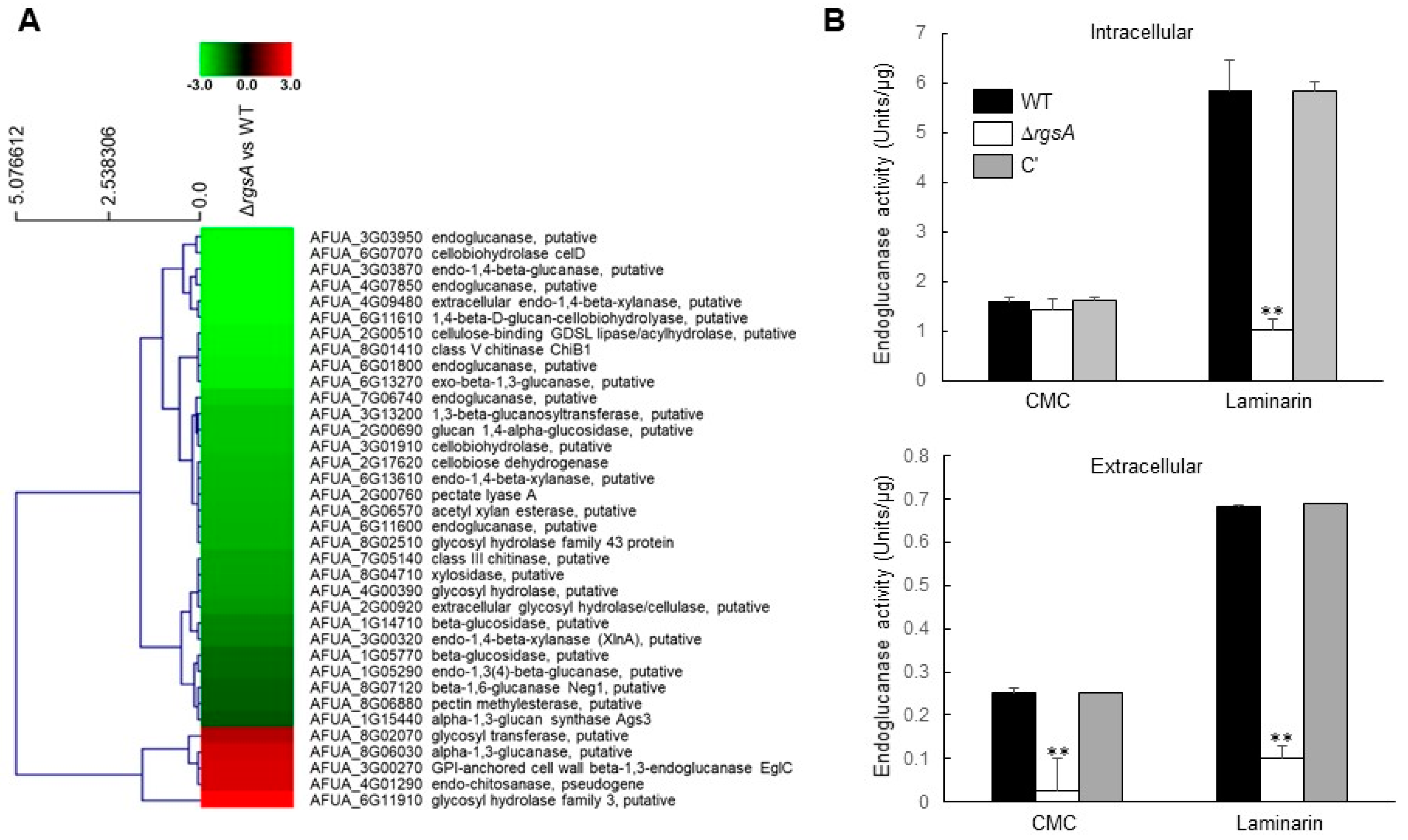 Ijms 20 05628 g006 Ijms 20 05628 g006