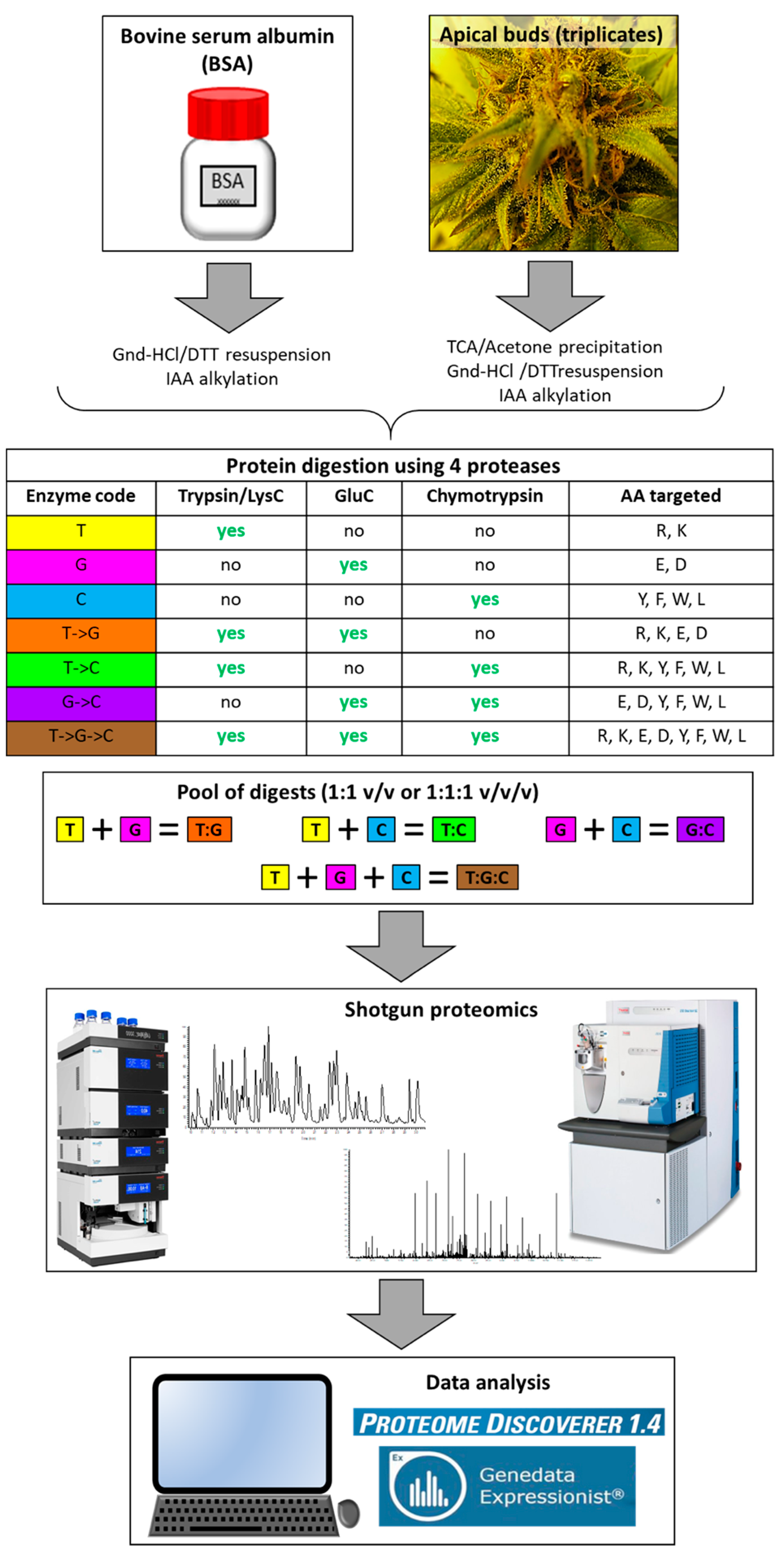 Promega Enzyme Buffer Chart