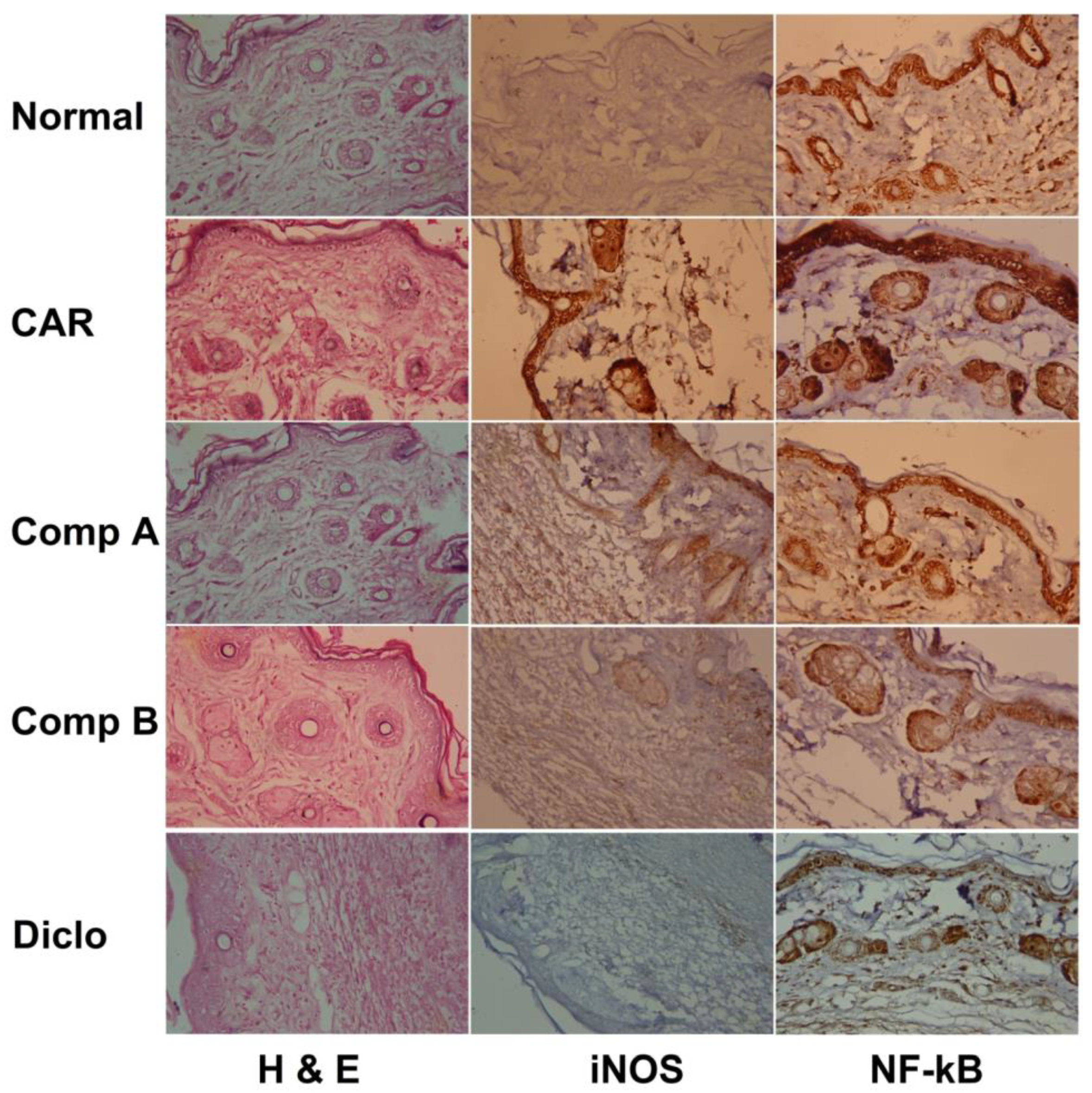 Ijms 20 05635 g003 550