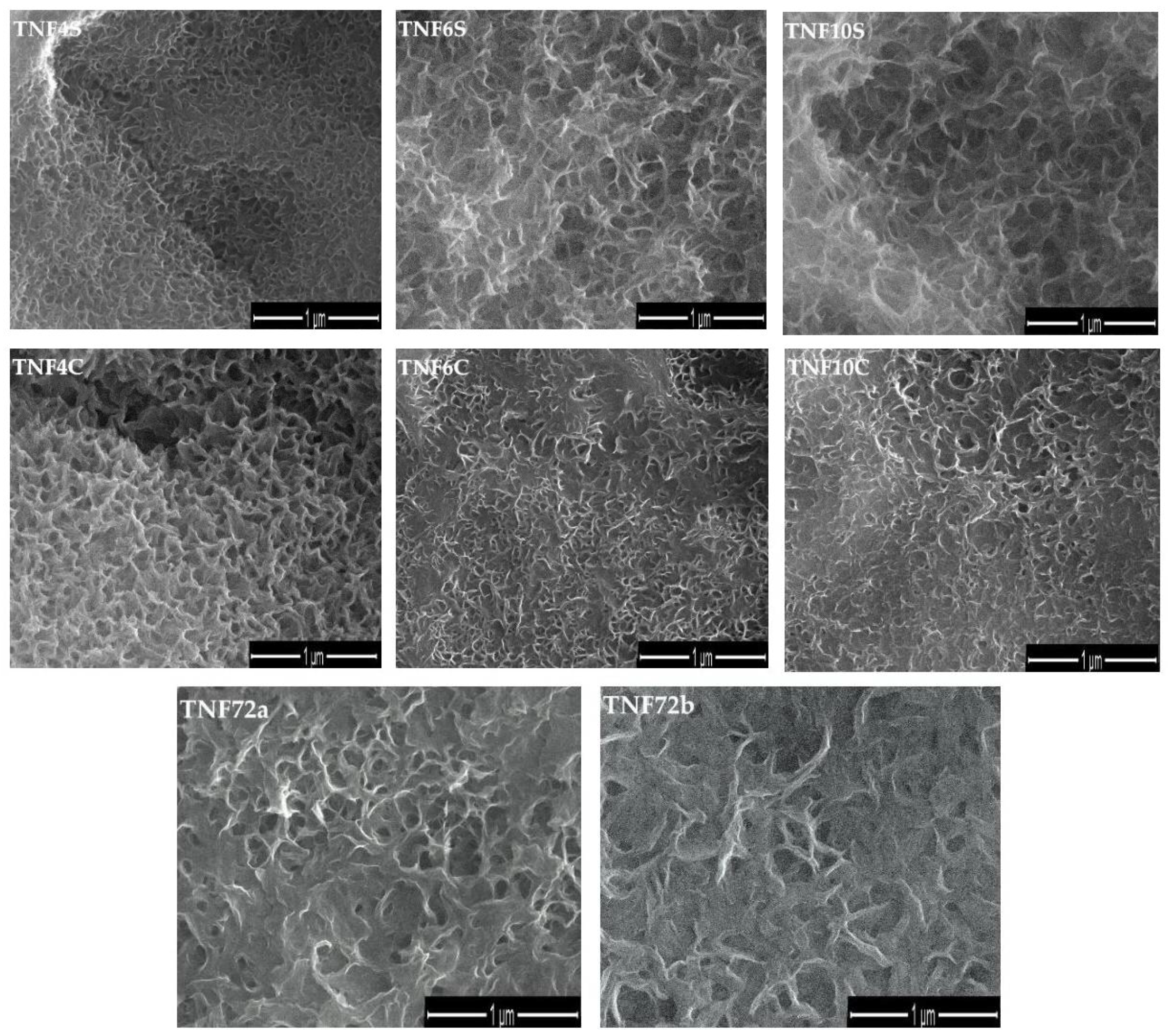 Ijms 20 05642 g001 Ijms 20 05642 g001