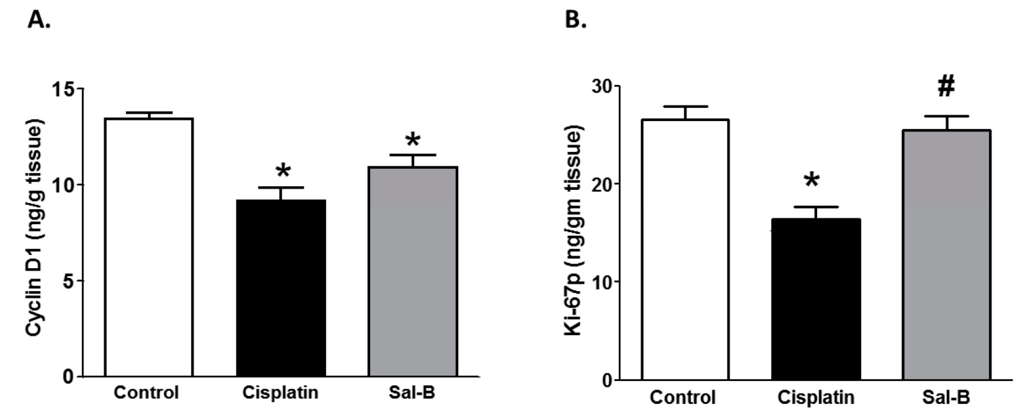 Ijms 20 05653 g005 Ijms 20 05653 g005