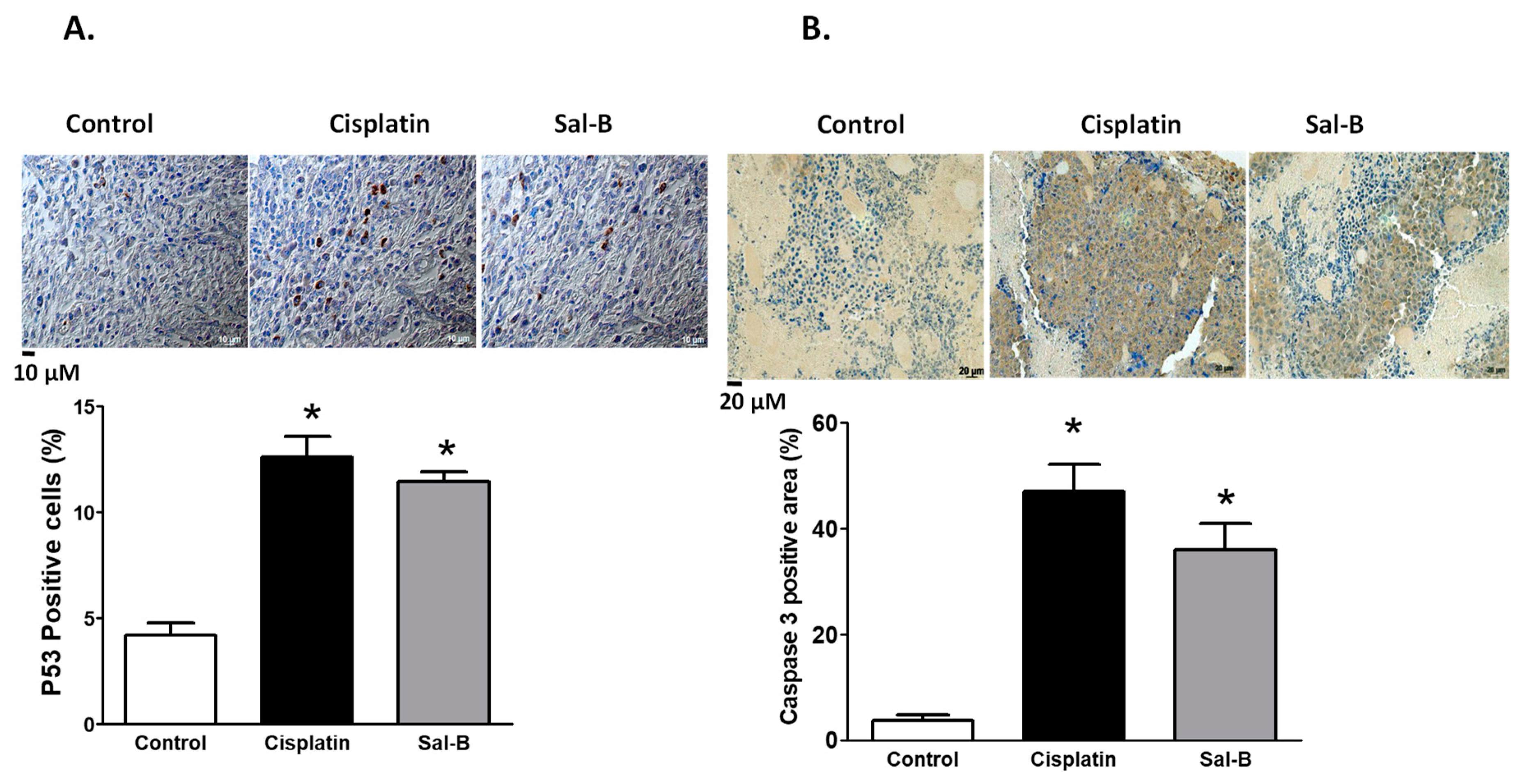 Ijms 20 05653 g006 Ijms 20 05653 g006