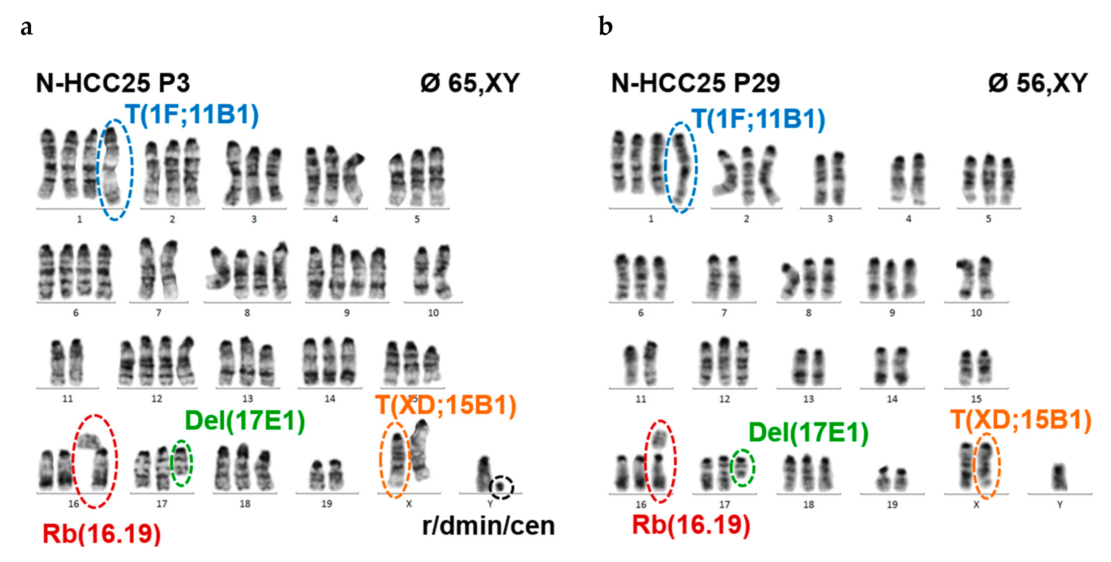 Ijms 20 05658 g002a Ijms 20 05658 g002a