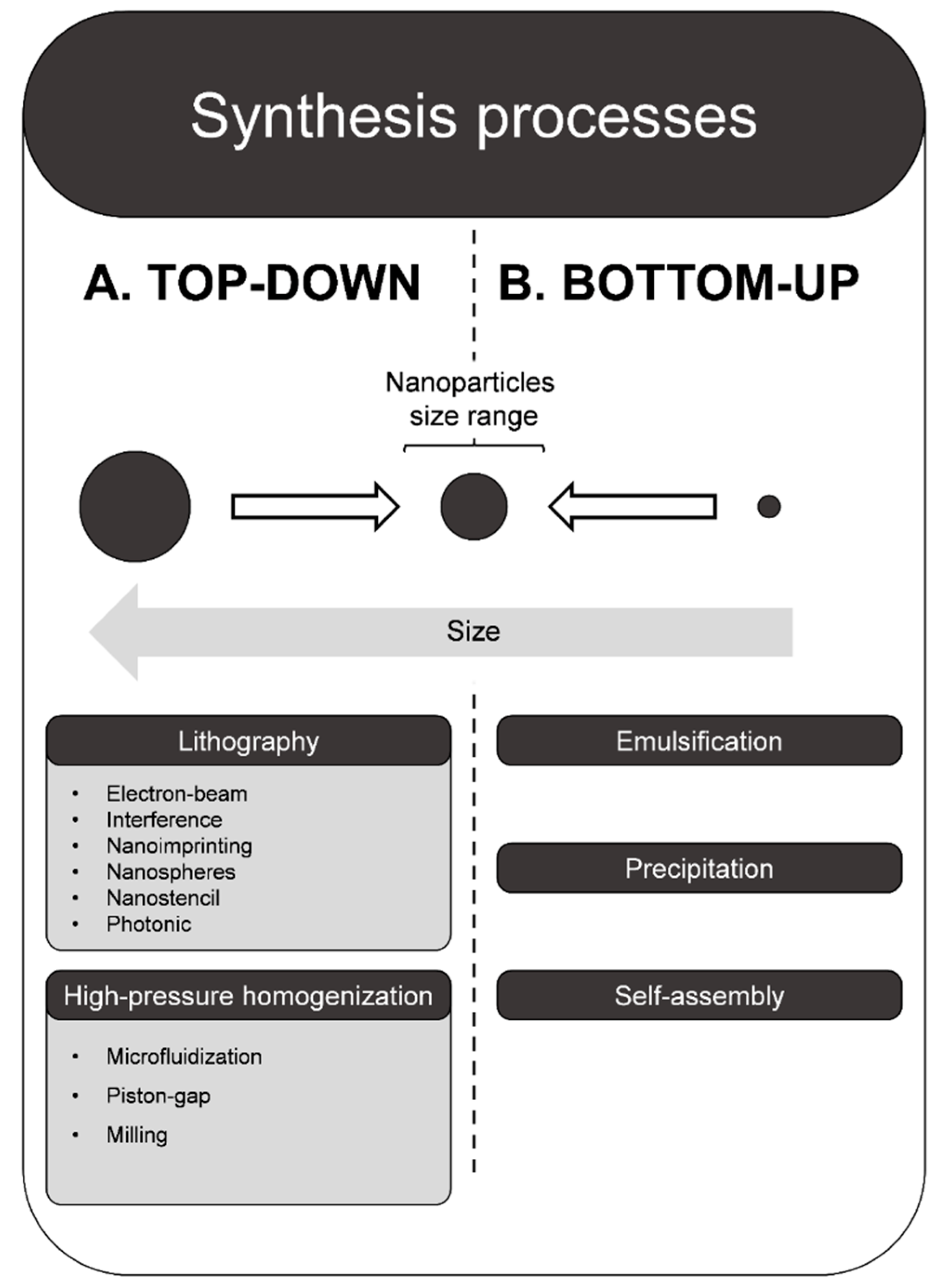 Ijms 20 05659 g002 Ijms 20 05659 g002