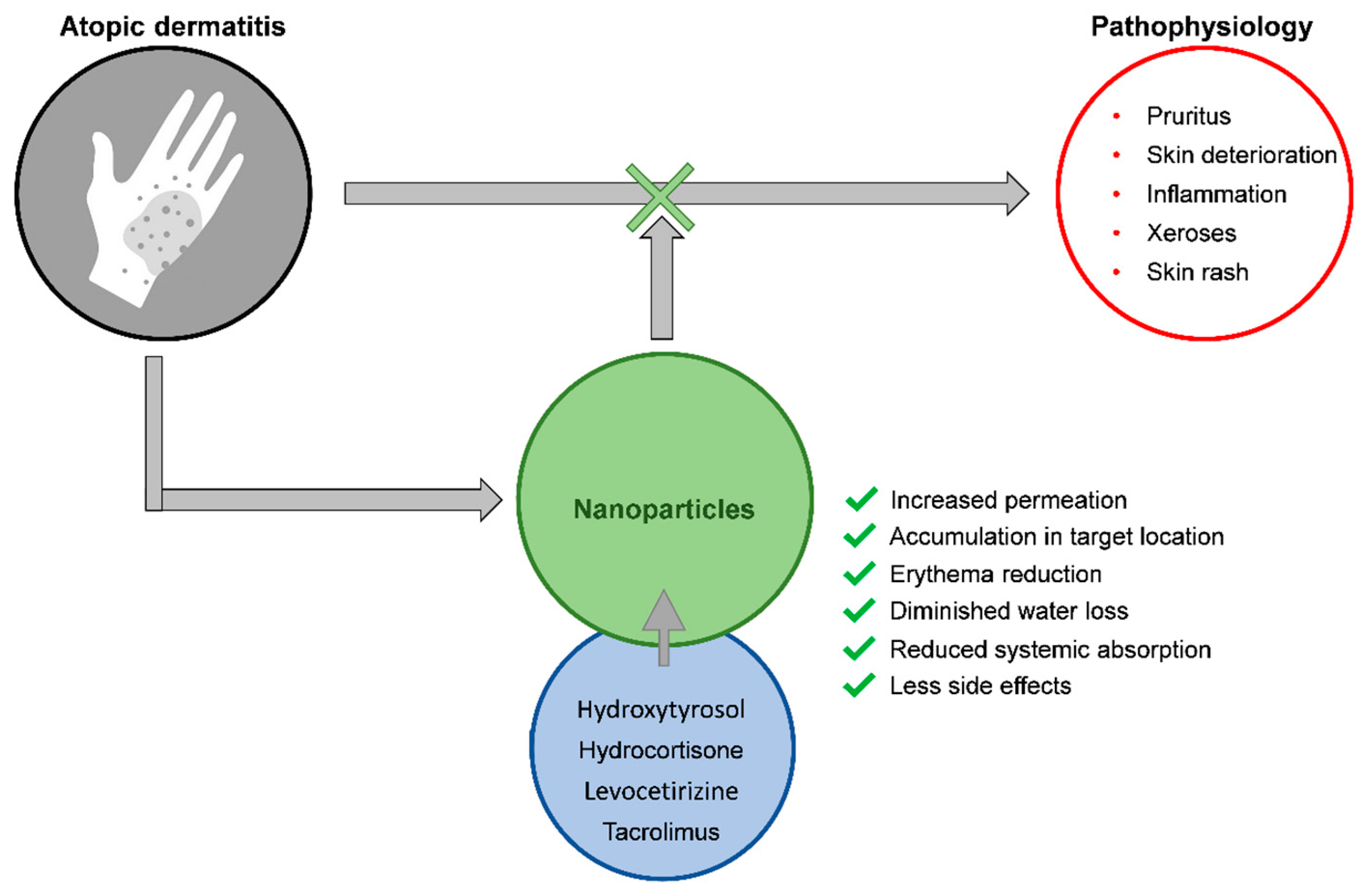 Ijms 20 05659 g003 Ijms 20 05659 g003