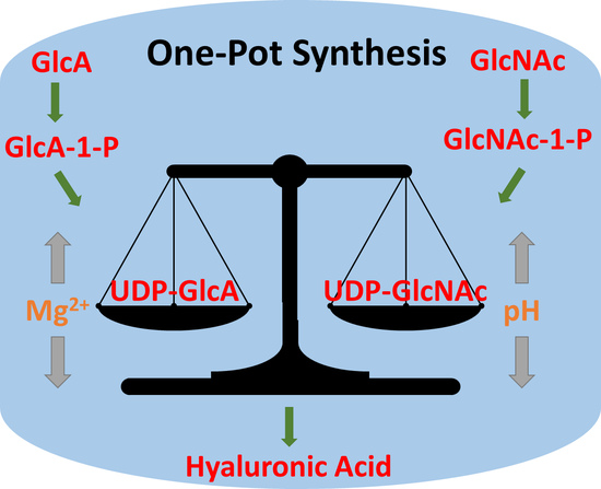 Ijms Free Full Text Key Factors For A One Pot Enzyme Cascade Synthesis Of High Molecular Weight Hyaluronic Acid Html Ijms Free Full Text Key Factors For A One Pot Enzyme Cascade Synthesis Of High Molecular Weight Hyaluronic Acid Html