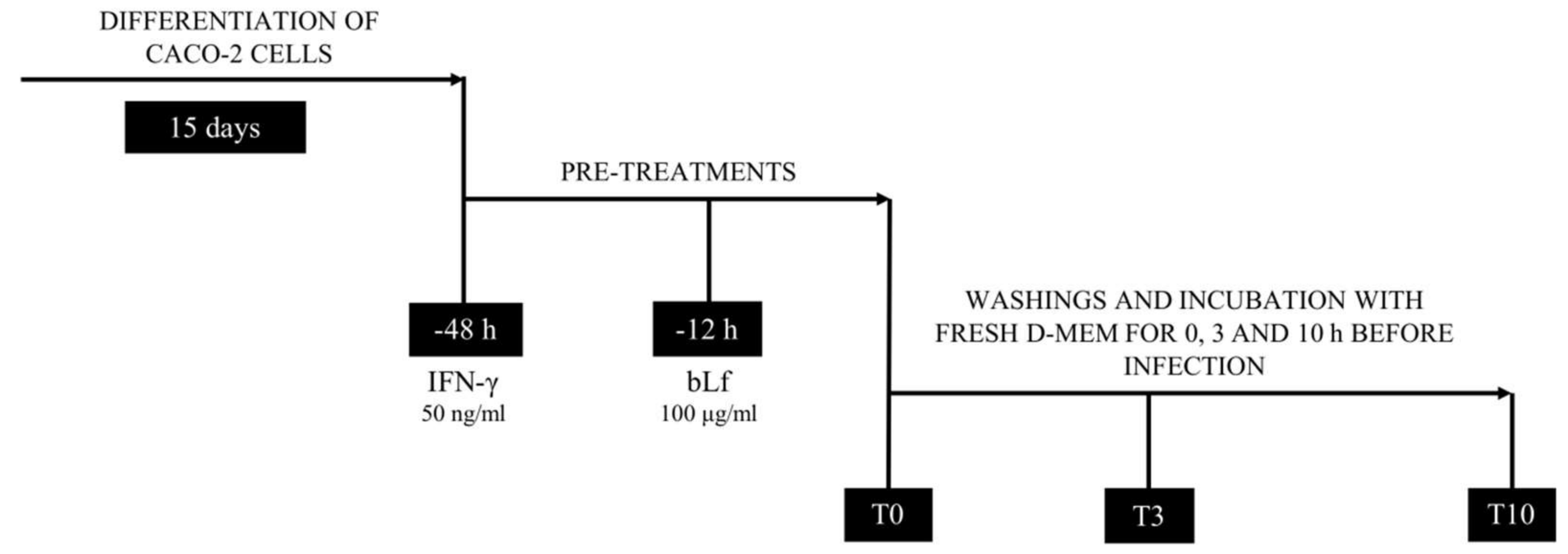 Ijms 20 05666 g001 Ijms 20 05666 g001