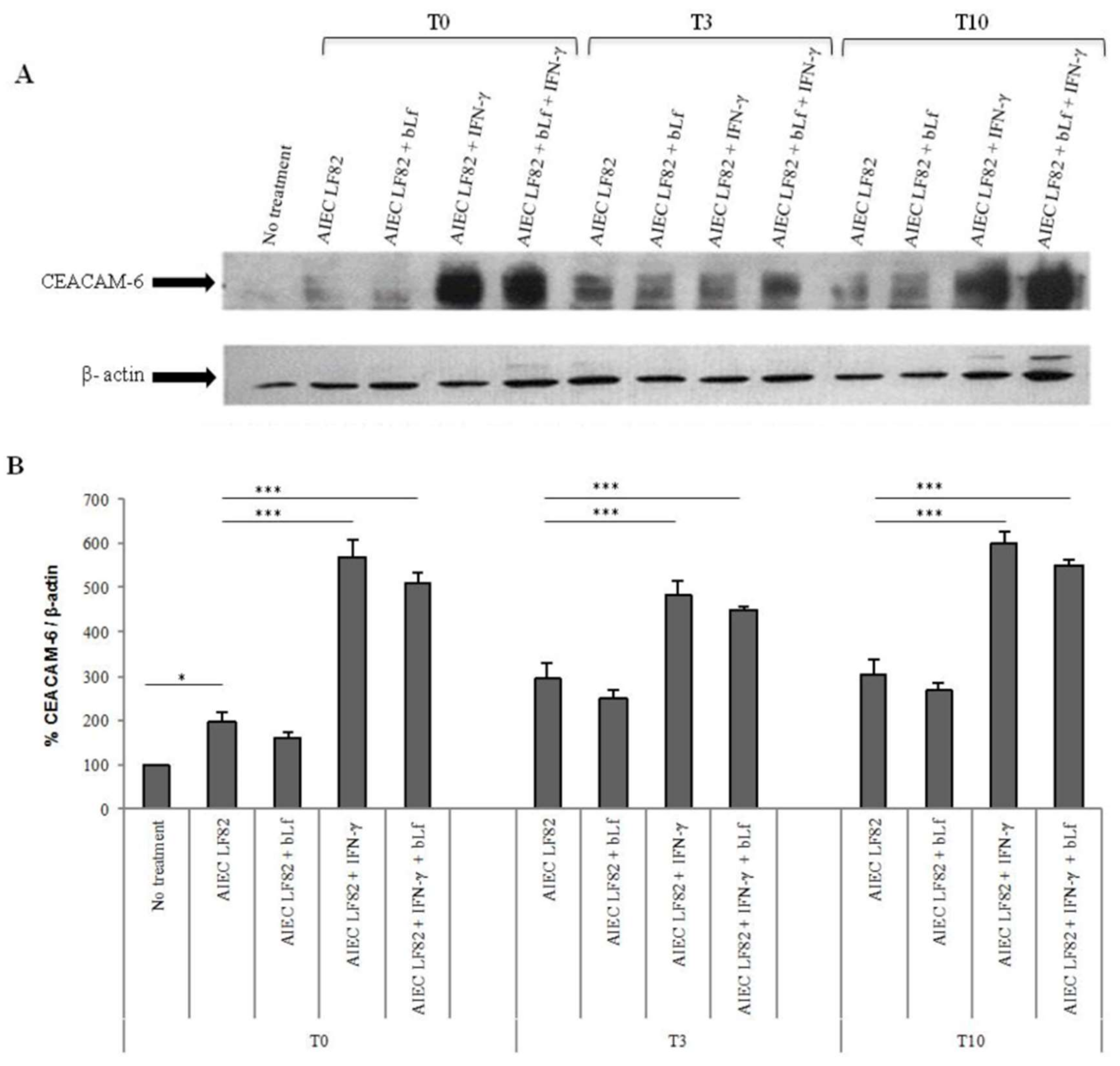Ijms 20 05666 g004 Ijms 20 05666 g004