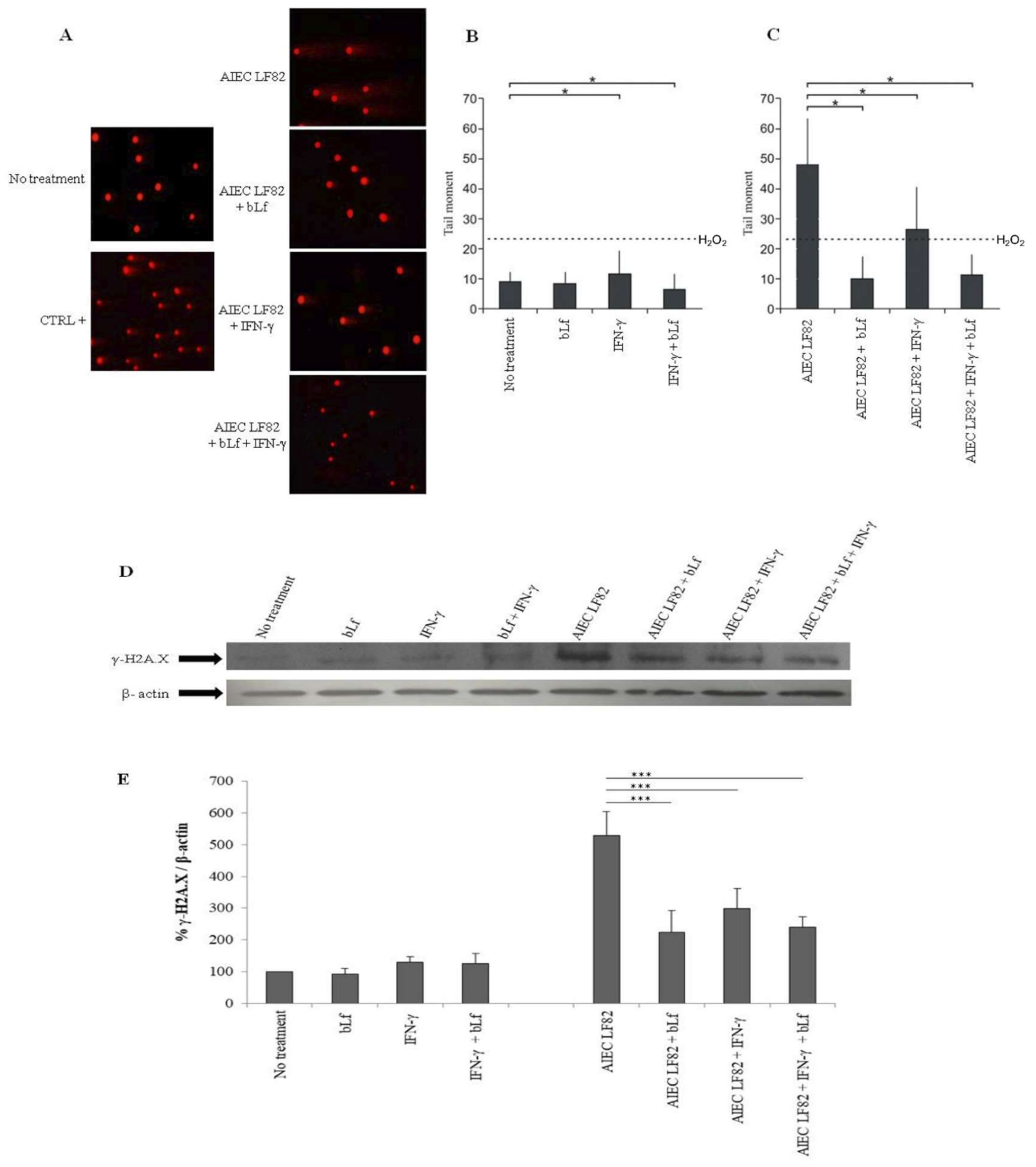Ijms 20 05666 g006 Ijms 20 05666 g006