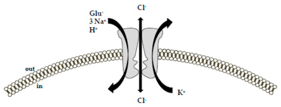 Ijms 20 05674 g001 550