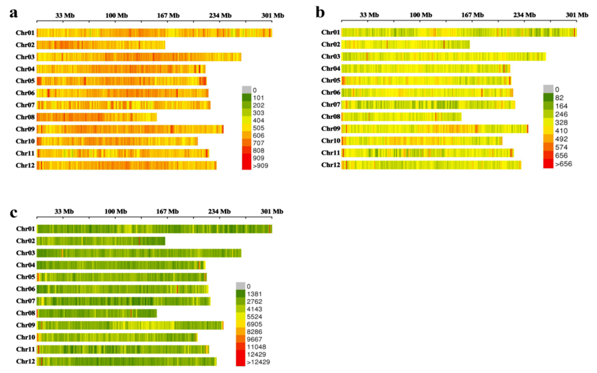 Ijms 20 05675 g001 Ijms 20 05675 g001