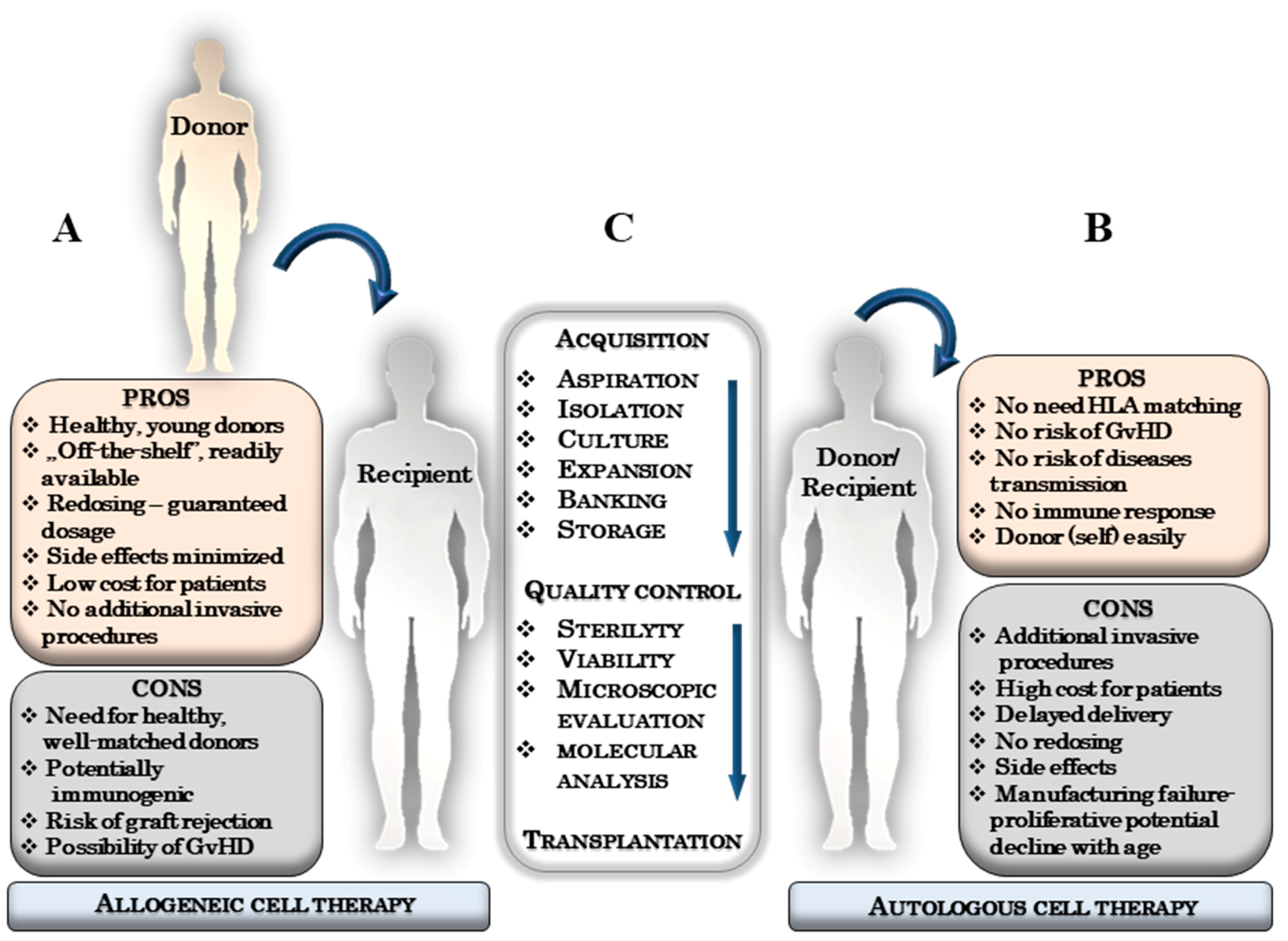 Pros And Cons Of Stem Cell Research Chart