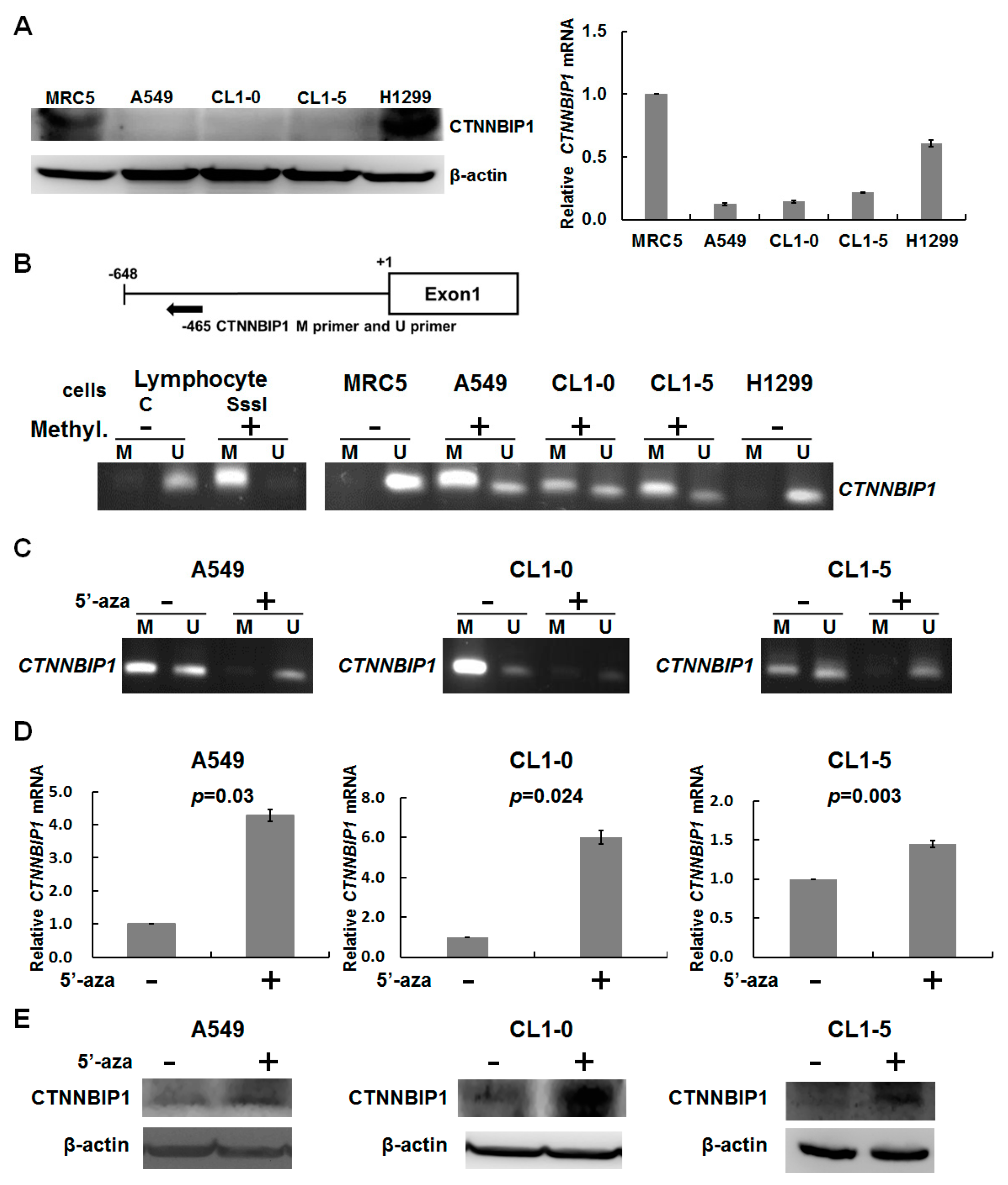 Ijms 20 05684 g002 Ijms 20 05684 g002