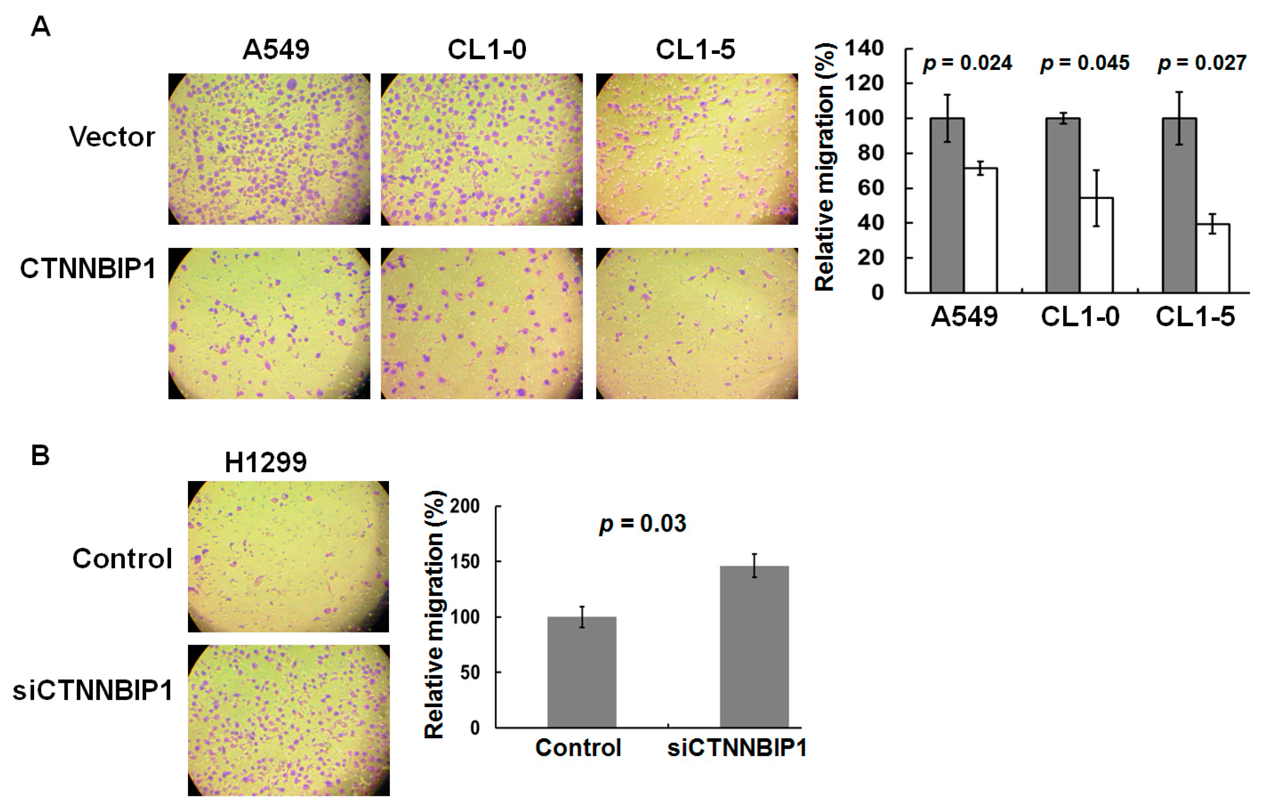 Ijms 20 05684 g005 Ijms 20 05684 g005