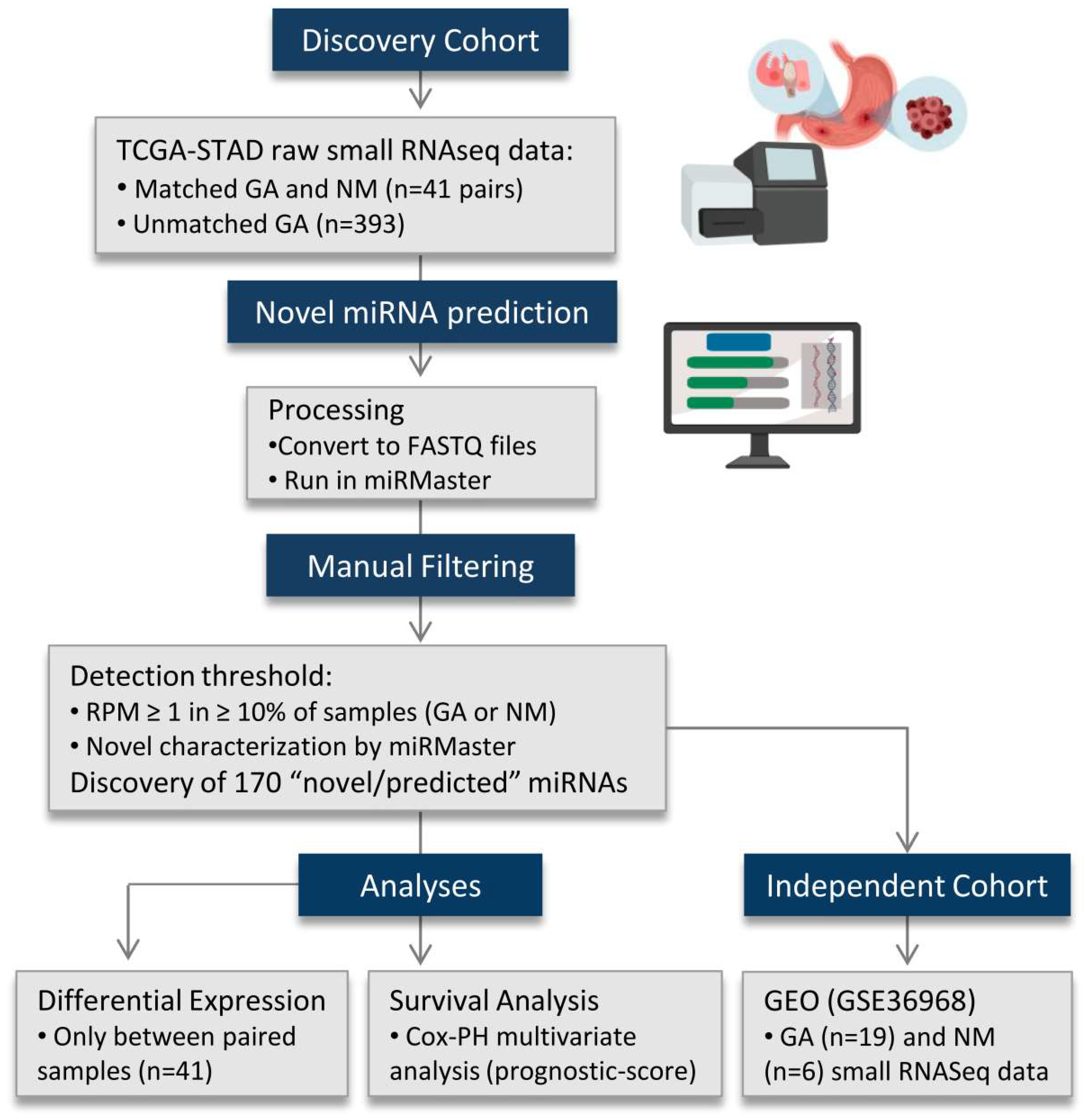 Ijms 20 05697 g003 Ijms 20 05697 g003