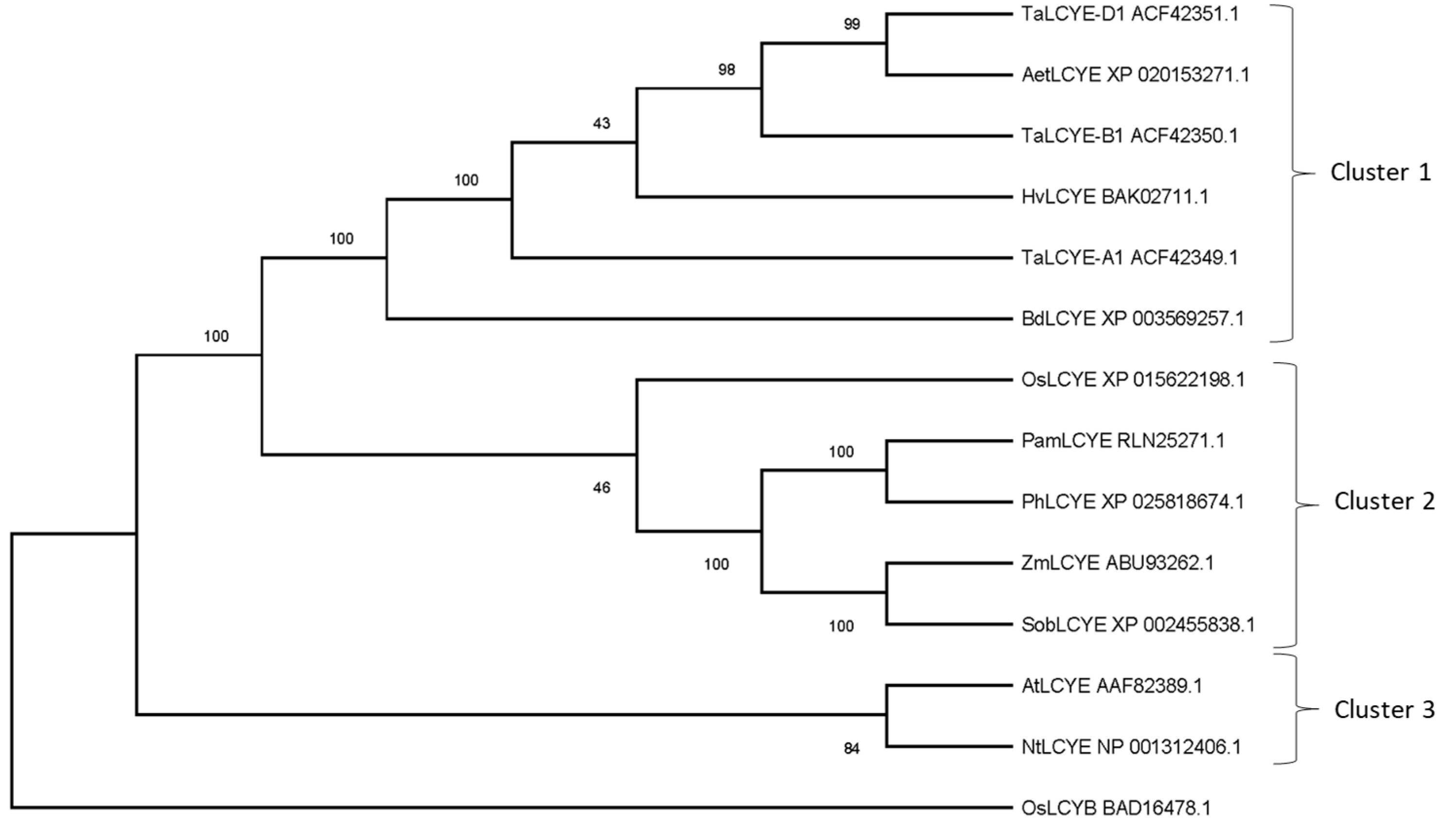 Ijms 20 05703 g001 Ijms 20 05703 g001