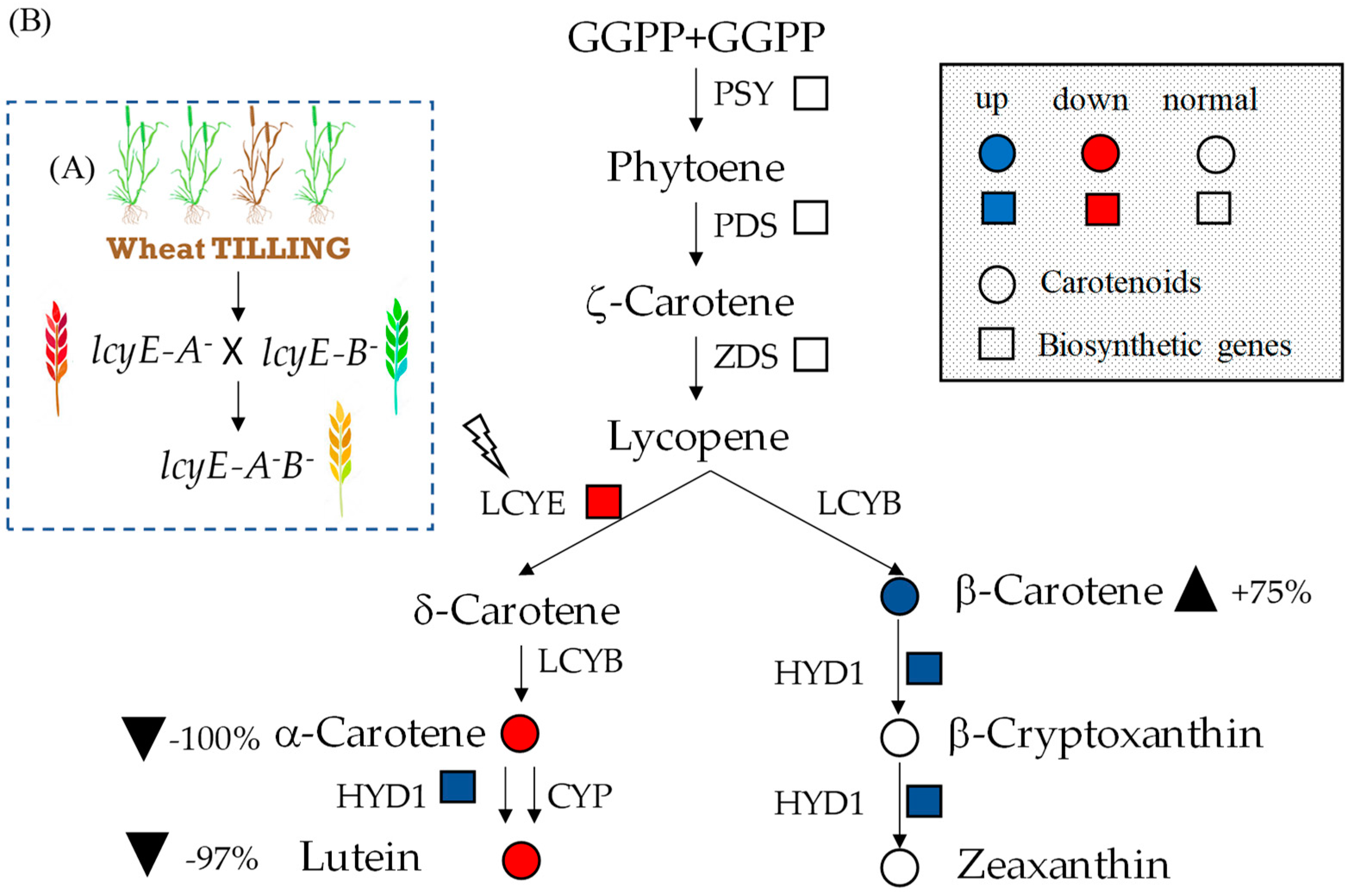 Ijms 20 05703 g003 Ijms 20 05703 g003